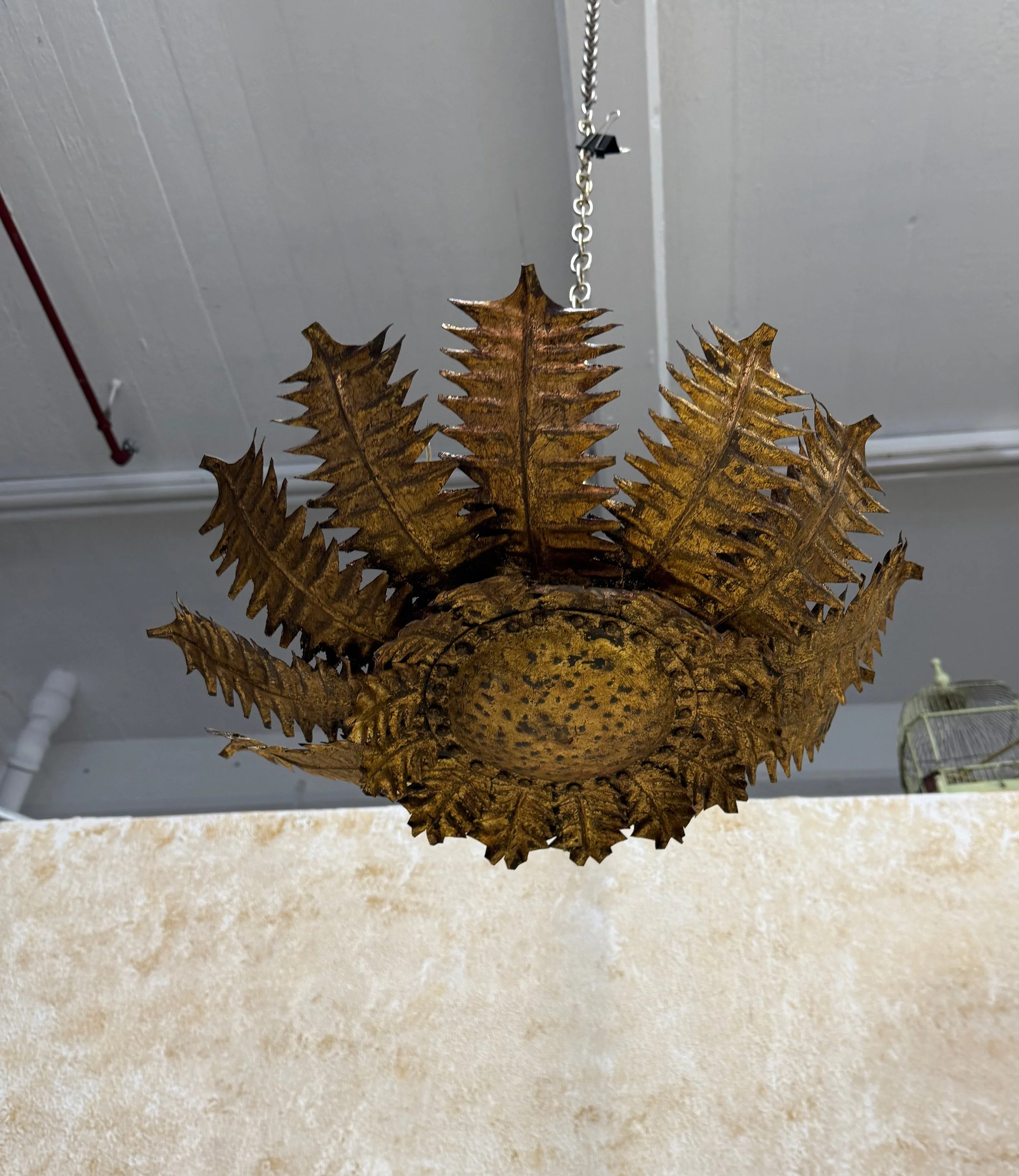 LCF0808-09 (13).jpeg