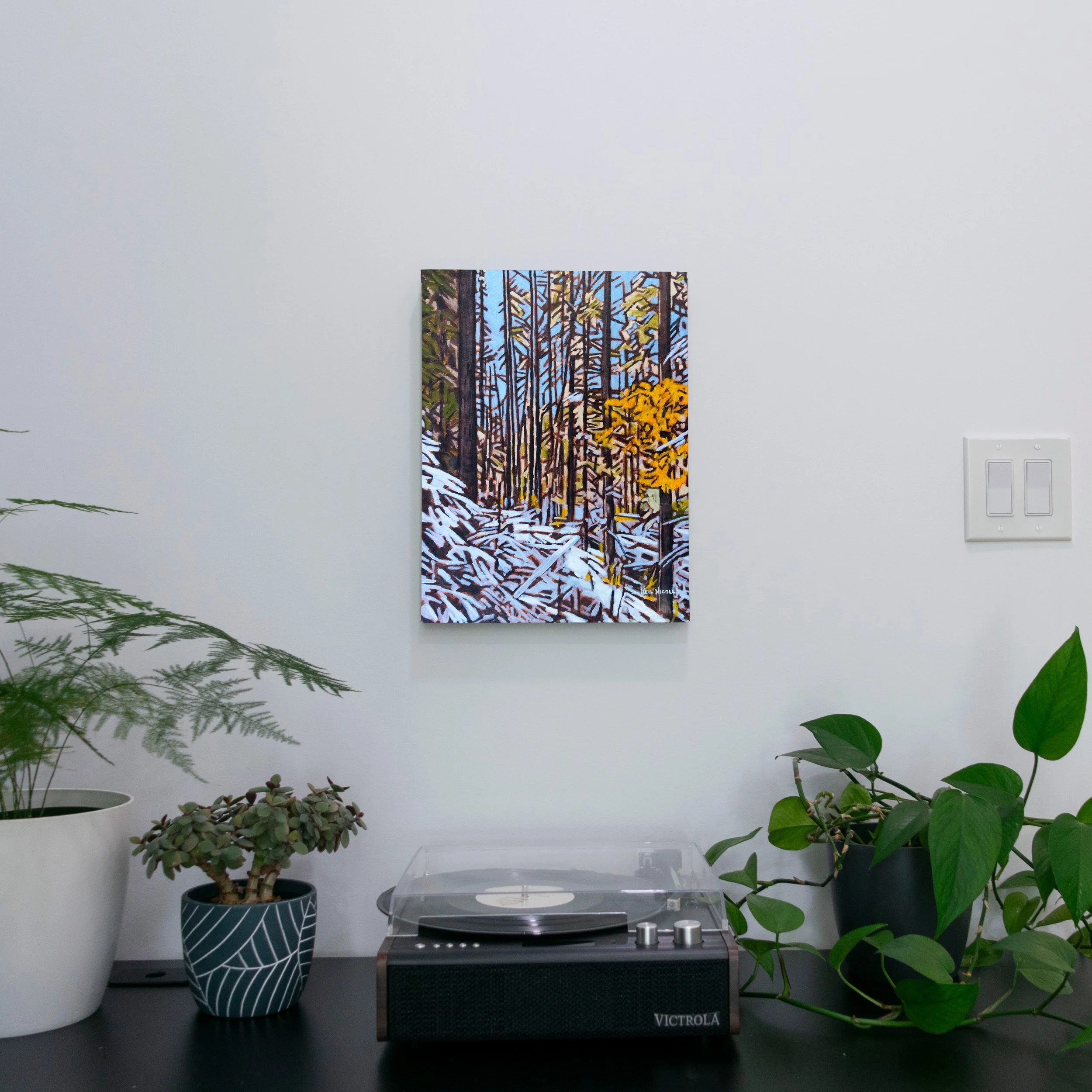 autumn's first frosted veil.jpg