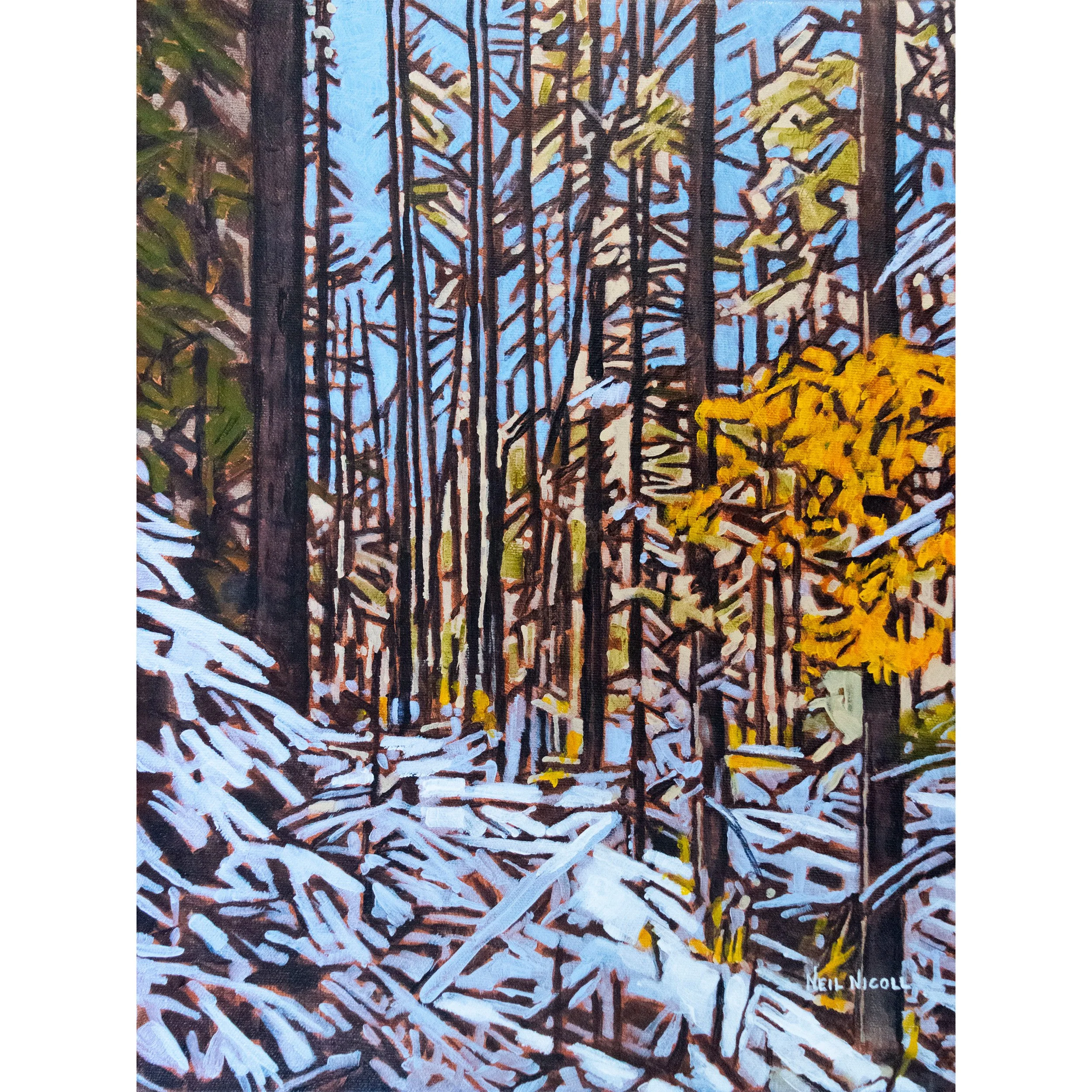 Autumn's First Frosted Veil