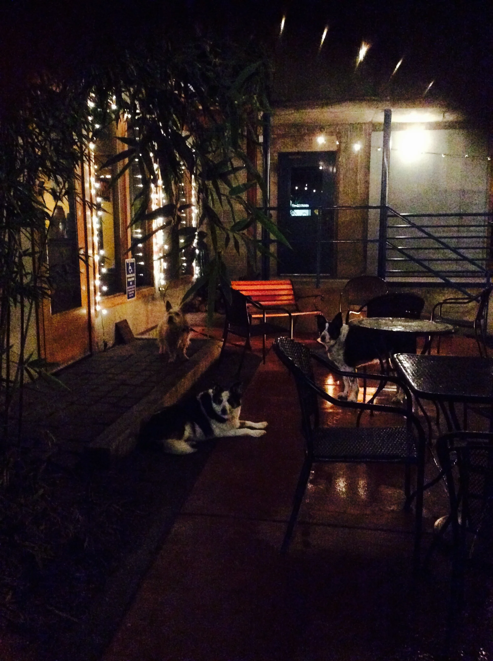 FullSizeRender (8).jpg