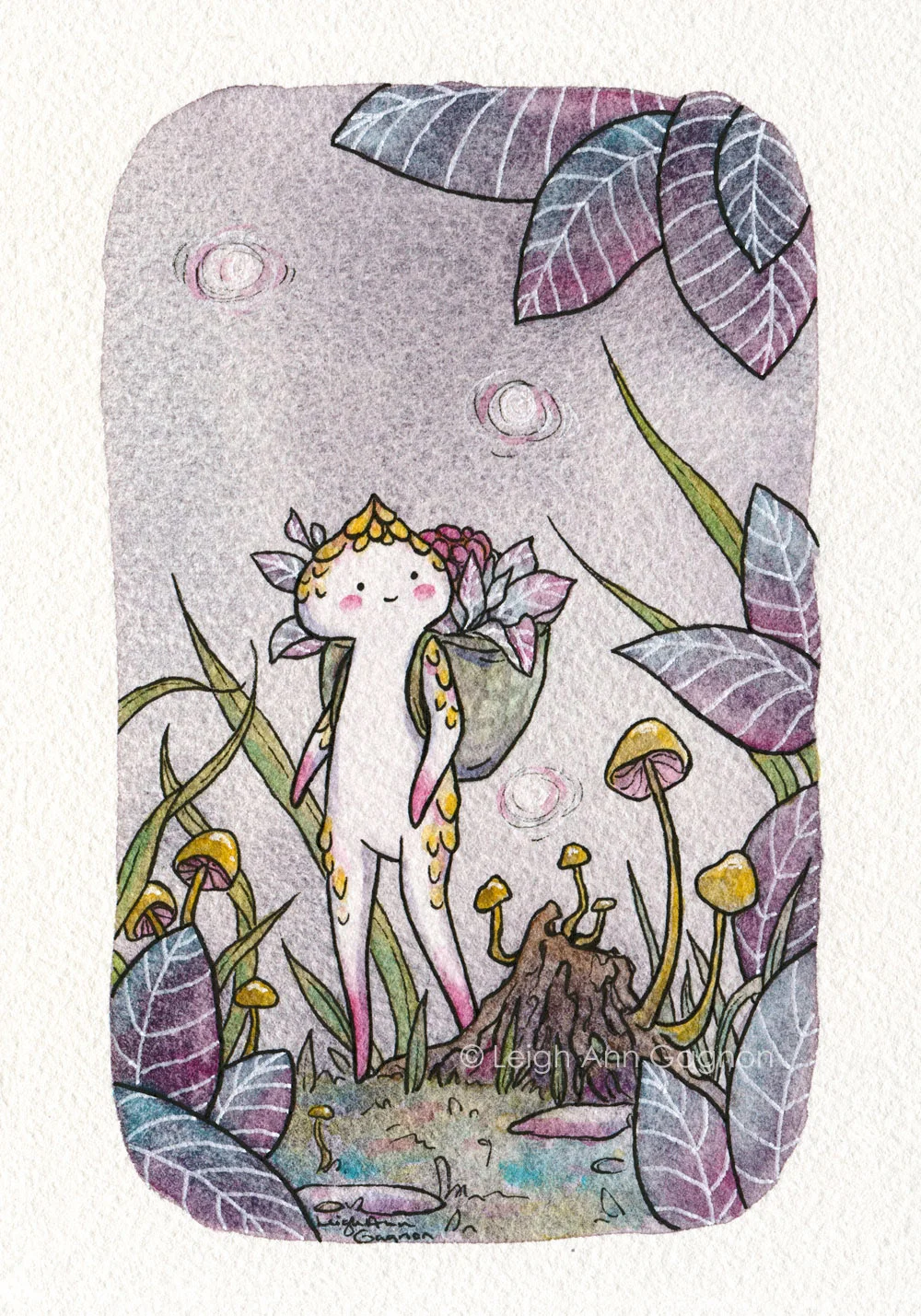 Night-Foraging_w.jpg