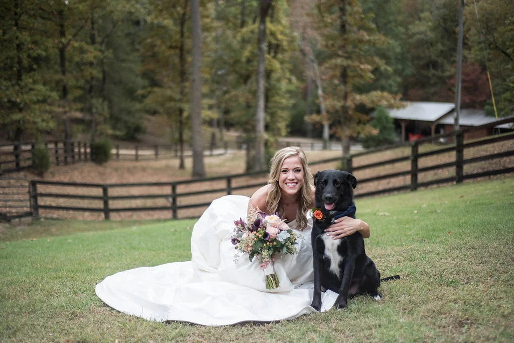 A loving comapnion watching over the wedding party portraits. Photo: Katie Wallace