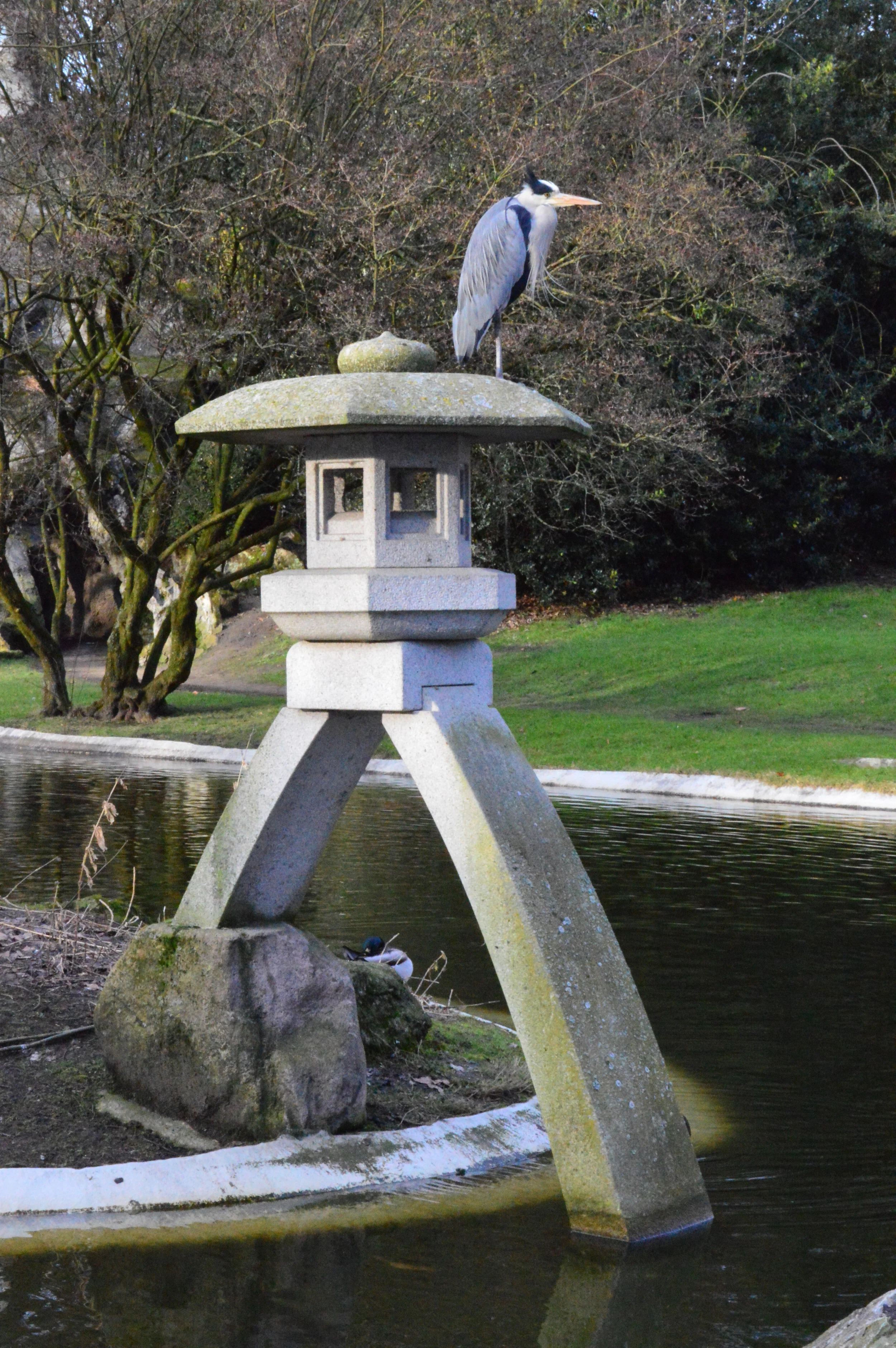 Birds (onDisplay?) 2