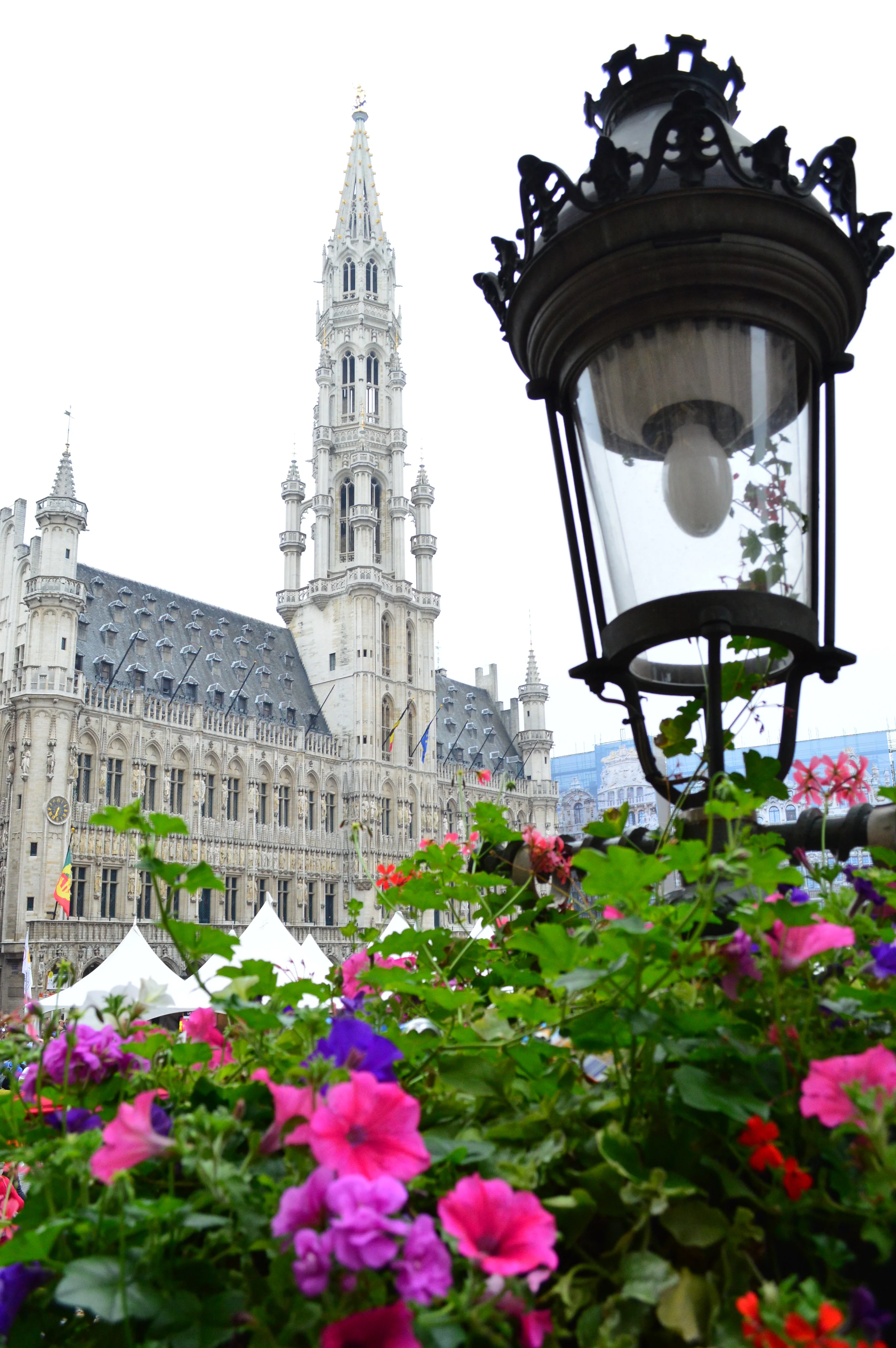  Known for the annual flower festival, Brussels (and other Belgium cities) often showcases its love for flowers in a very colorful way. TheGrand Place (Grote Markt) is surrounded by stunning facades, gold trim, and proud buildings flanked with cafés.