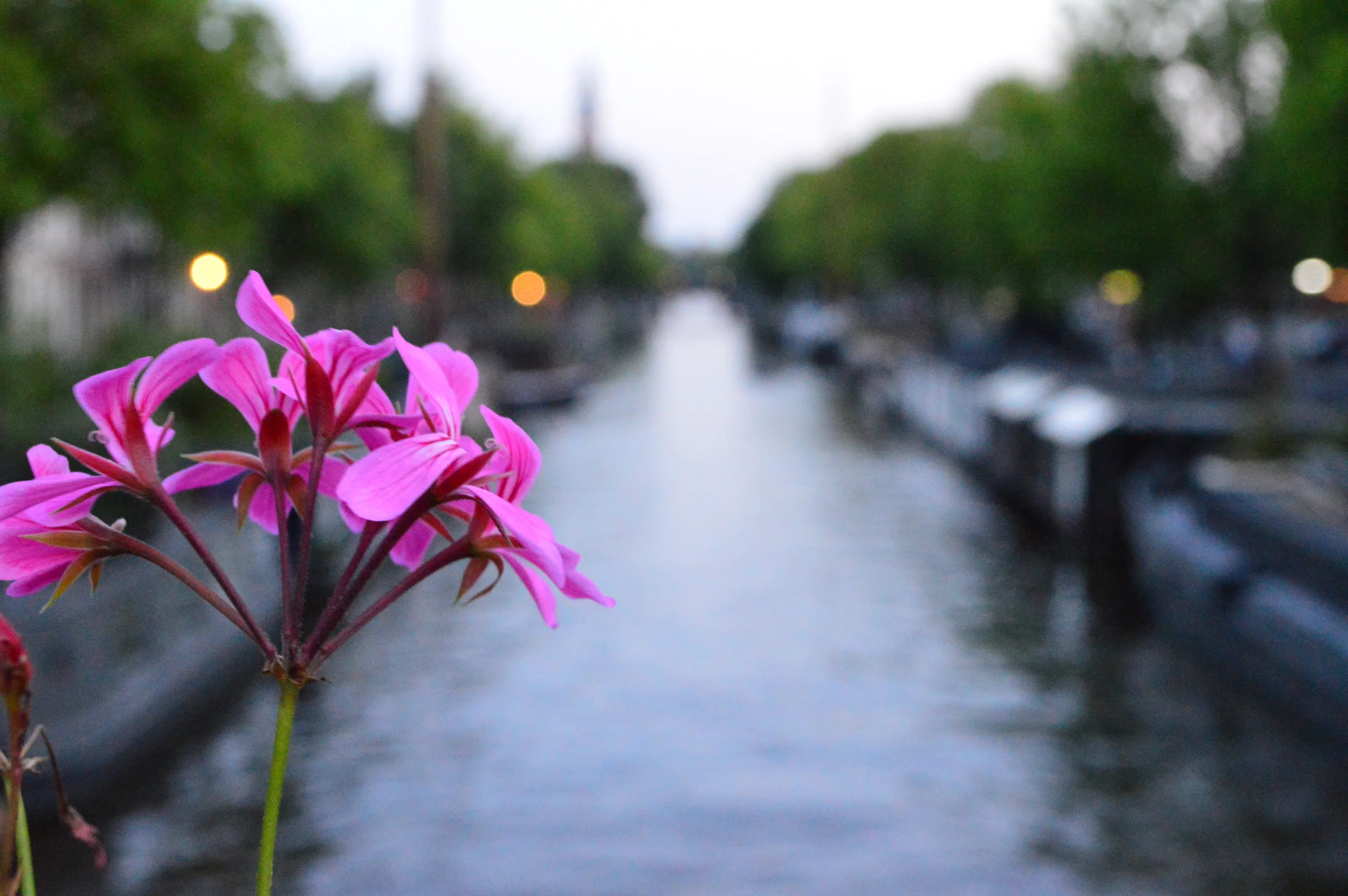  While there are reportedly 1,281 bridges in all of Amsterdam, there are 80 just in the center alone. There's even a spot referred to as the Bridge of 15 Bridges, right at the junction of Reguliersgracht and Herengracht, where you can see all 15 of t