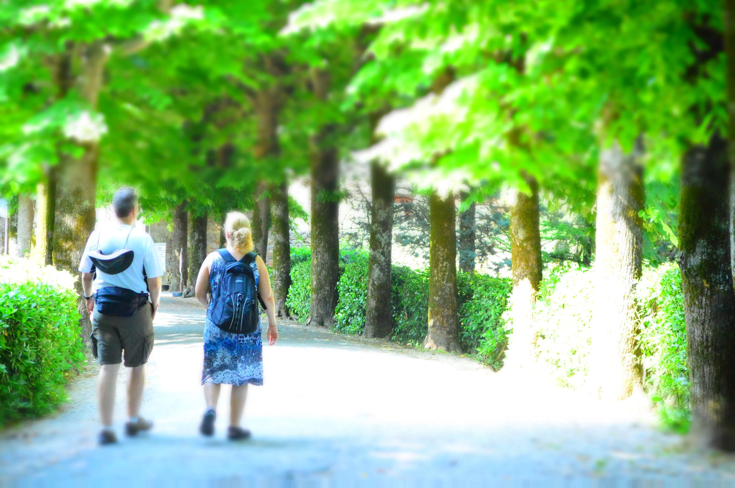  At nearly the highest point in the hilltop city, you can go for a stroll in the garden of Poggiofanti which opens up in front of the  Conservatory of Saint Girolamo . While the city is primarily closely-knit and well-preserved architecture and windi