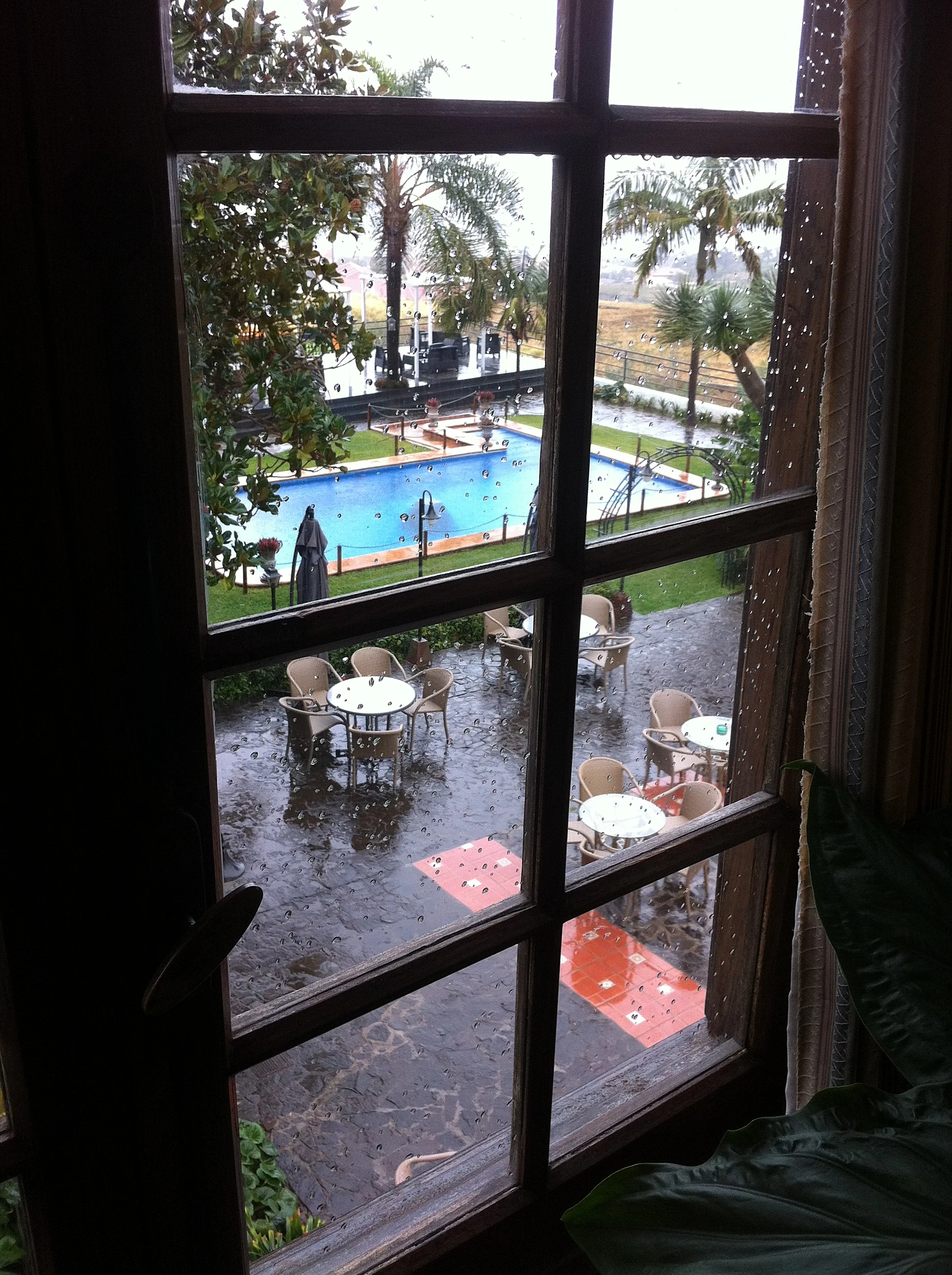  The rain surprised the thirsty island of Tenerife today, drenching the small group of British travelers on their way to their three course meal in the Canarian-style mansion. My love and I had the pleasure to accompany the group as I check out the e