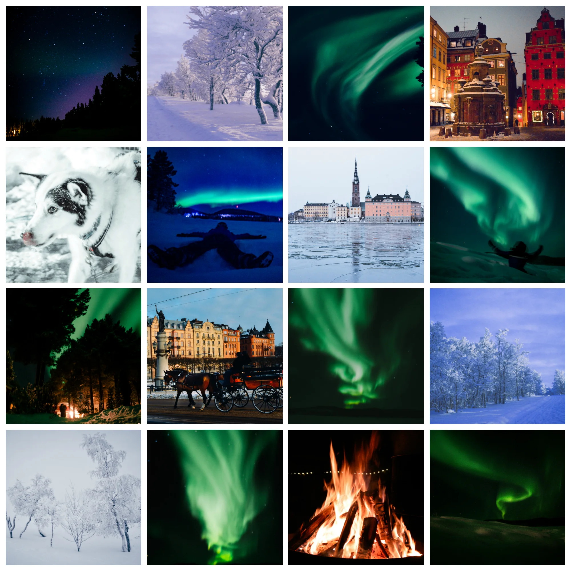 Northern Lights & Sweden Collection