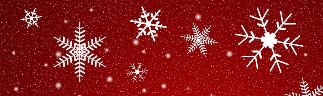 xmas_banner2.jpg