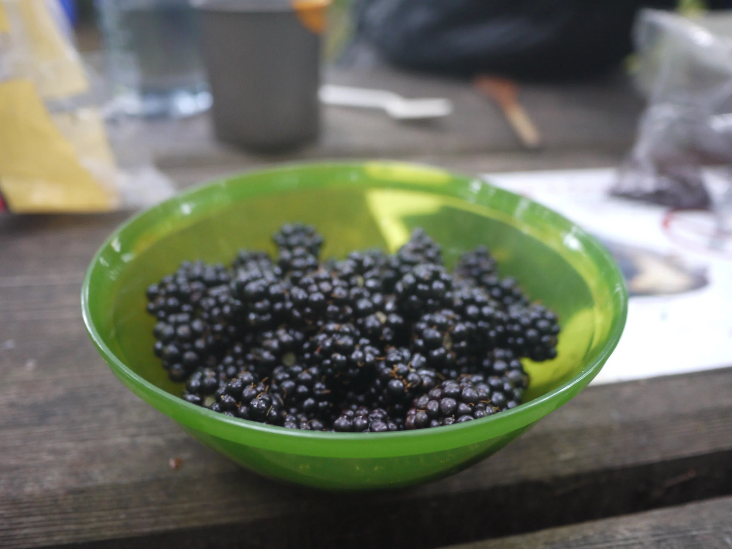 Campsite bounty.