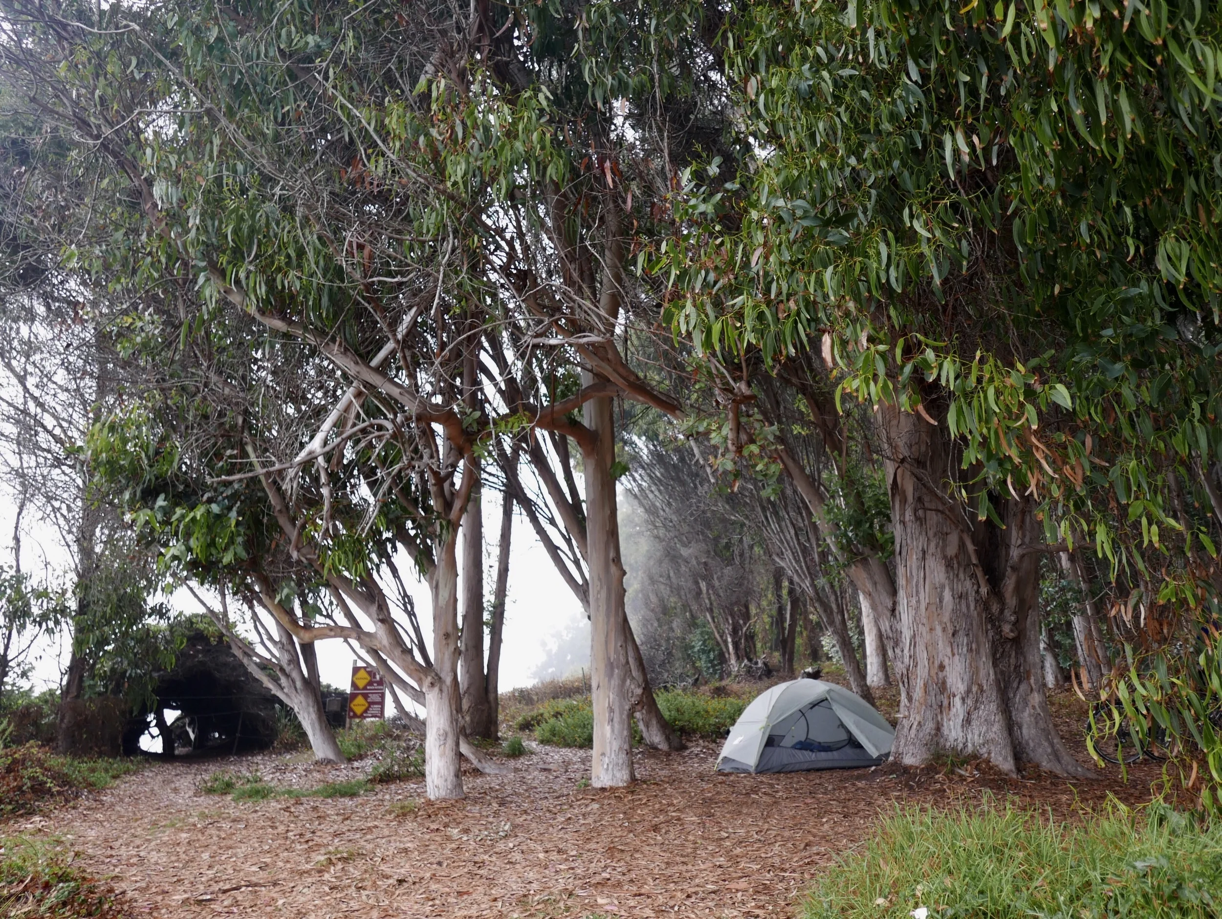 Housed among the eucalyptus.