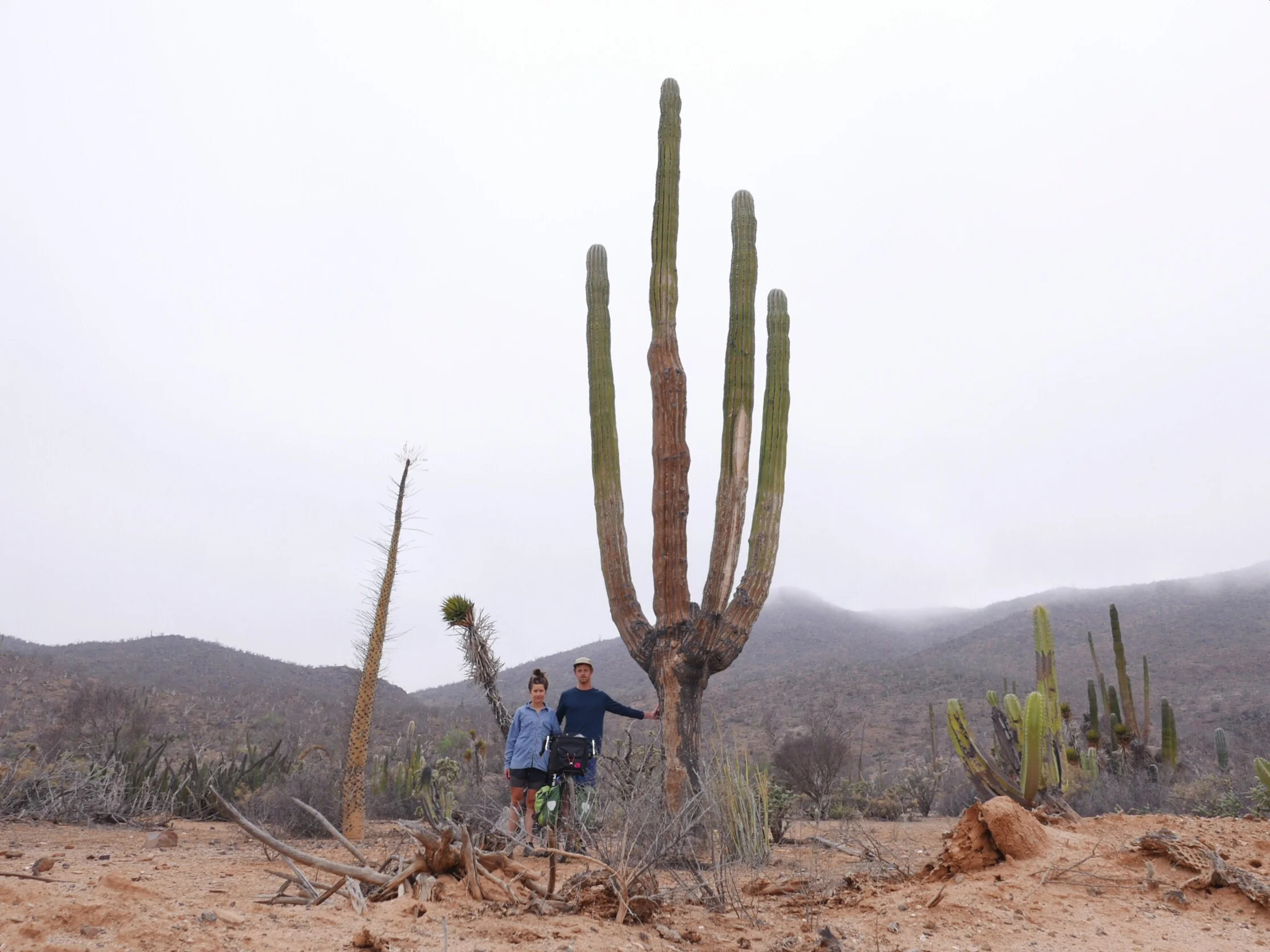 Baja Gothic
