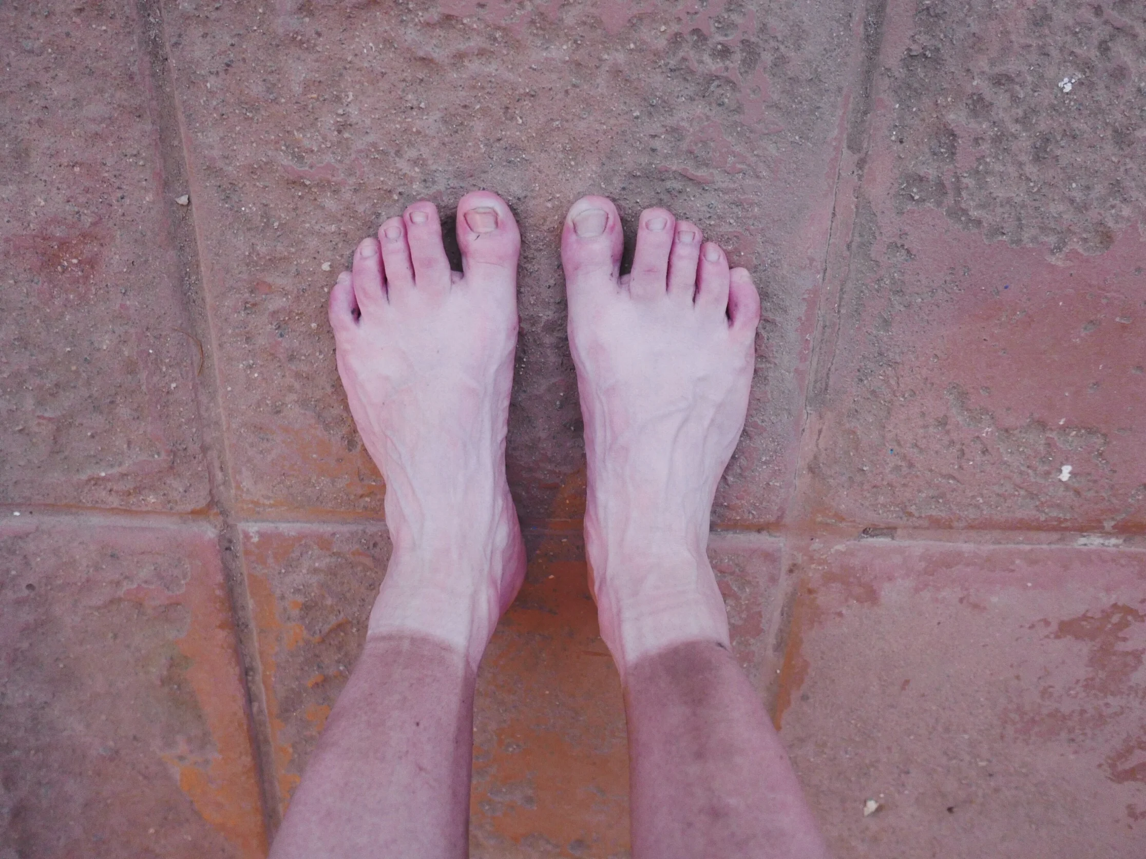 No idea where the dirt ends and tan begins.