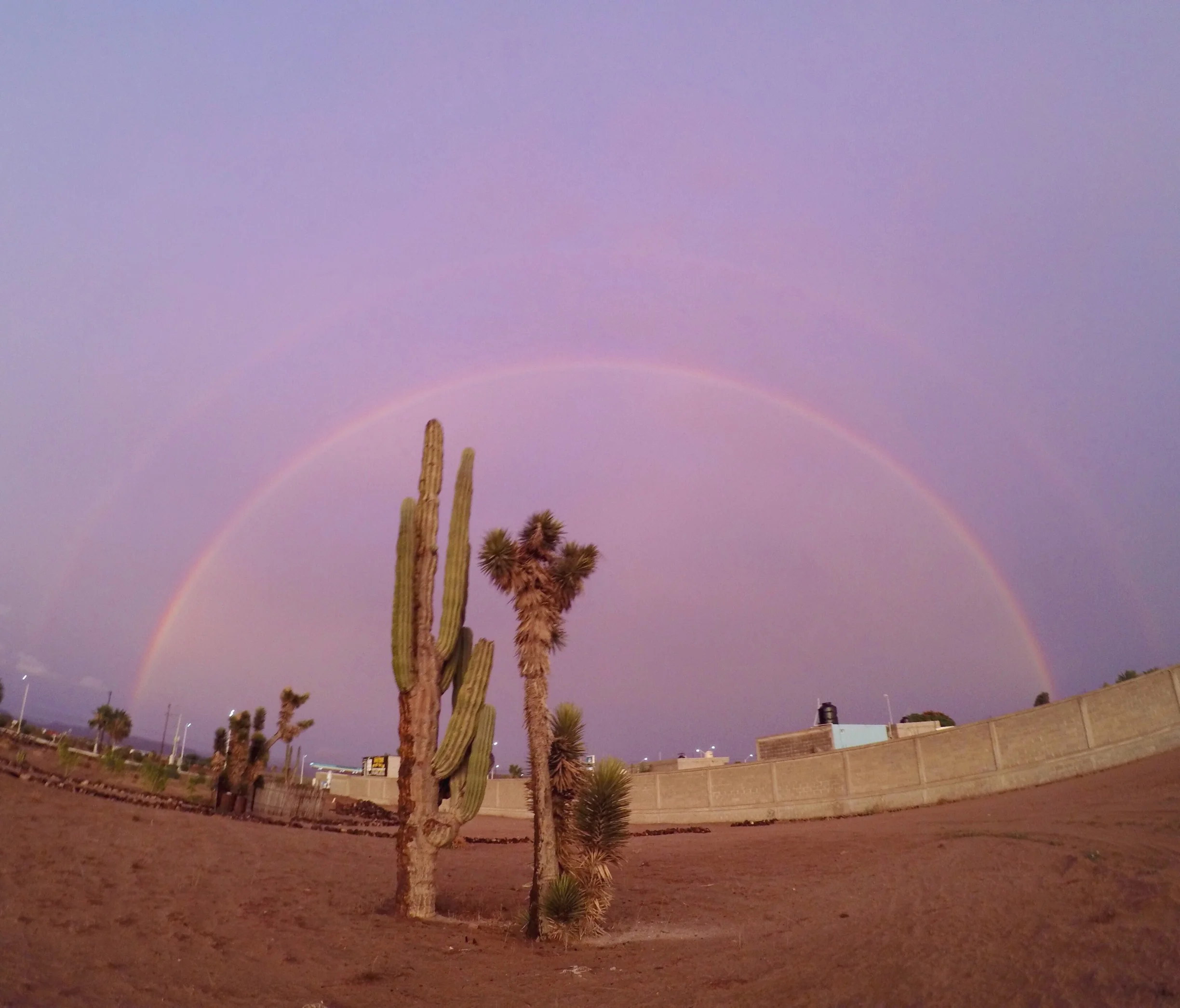Heat, Hurricanes and Mangos