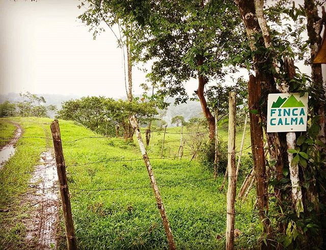 The calm farm is calling!  Offering home lot tours now, let's plan your trip :) #FincaCalma #puravida #vidacalma #costarica #farmlife