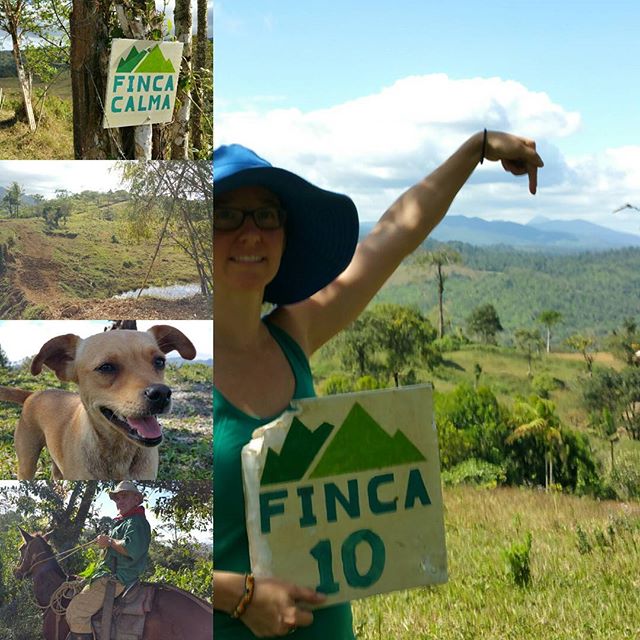 Come visit soon, the calm life is calling.  #fincacalma #vidacalmawellness #puravida #costarica FincaCalma.com