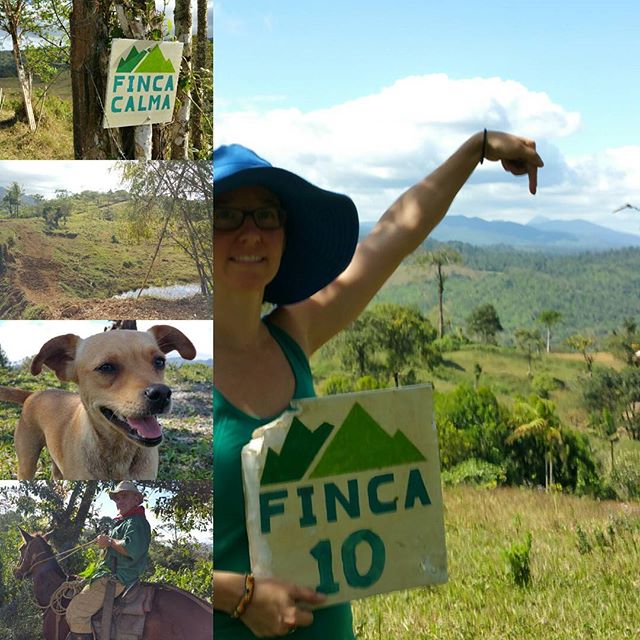 Come visit soon, the calm life is calling. #fincacalma #vidacalmawellness #puravida #costarica FincaCalma.com