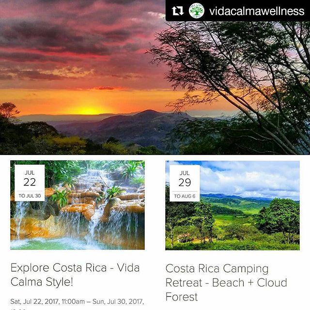 These two #vidacalmawellness retreats are officially happening this summer! They're back to back, so you can come to one or both. @nealmfharper and I could not be more excited to have a chance to bring some groups to the farm so you can see what we are always talking about. 😍 We want to share it with you!
Click the link in my profile for all of the details and let me know if you have any additional questions. #vidacalmatours @vida.calma #costaricaretreats #summer2017 #miparaiso #fincacalma #arenalvolcano #playahermosacostarica #sarchi