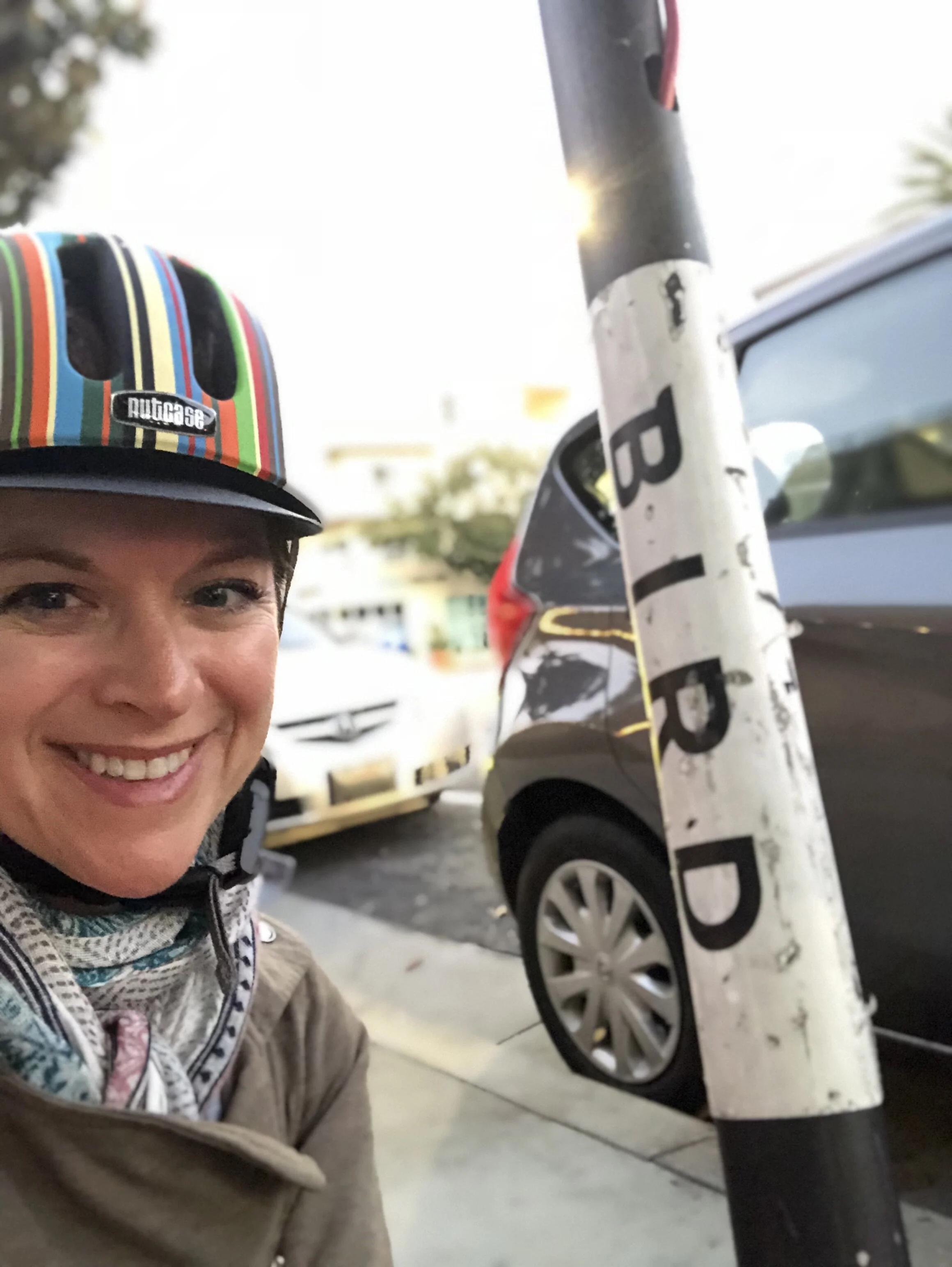 Bird Scooter - Santa Monica