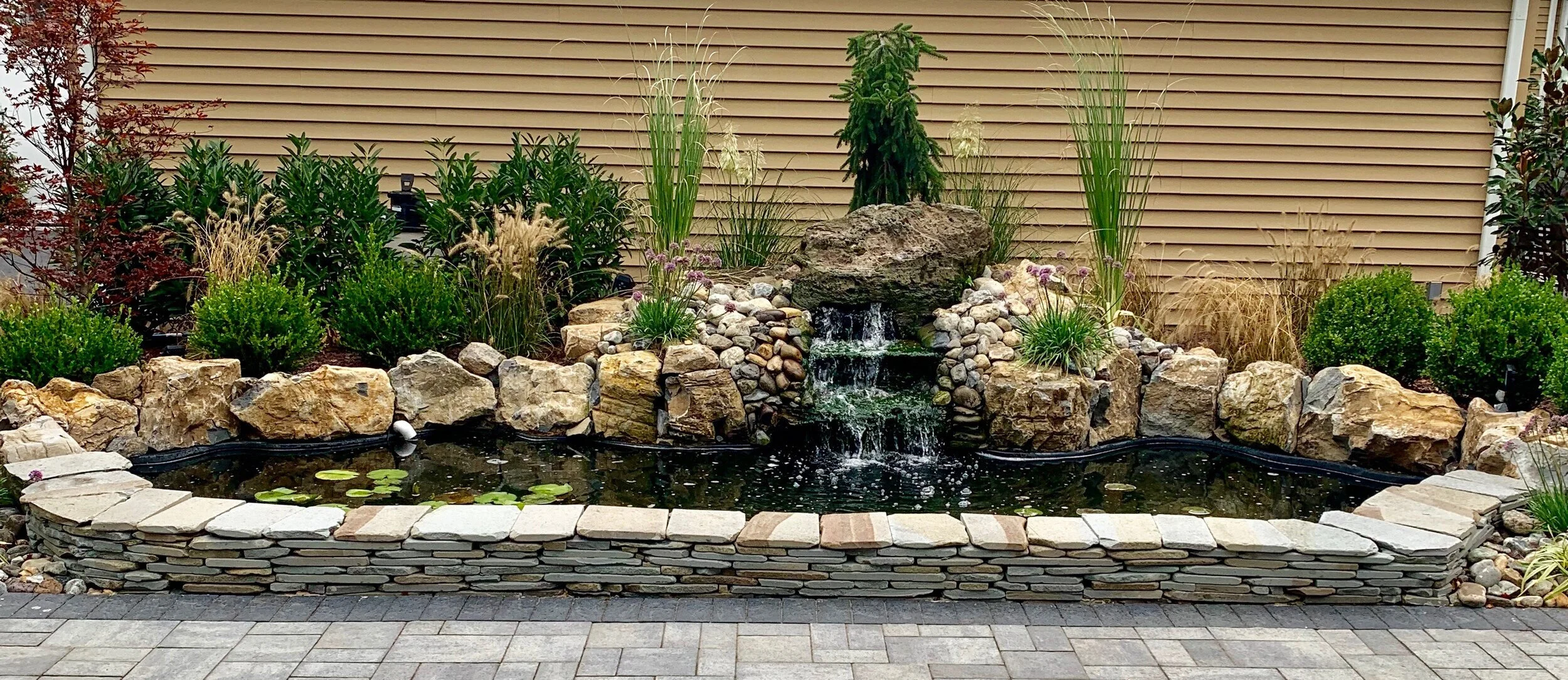 Pond.jpg