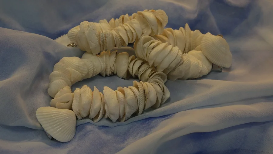 Angel Shell Bracelets.jpg