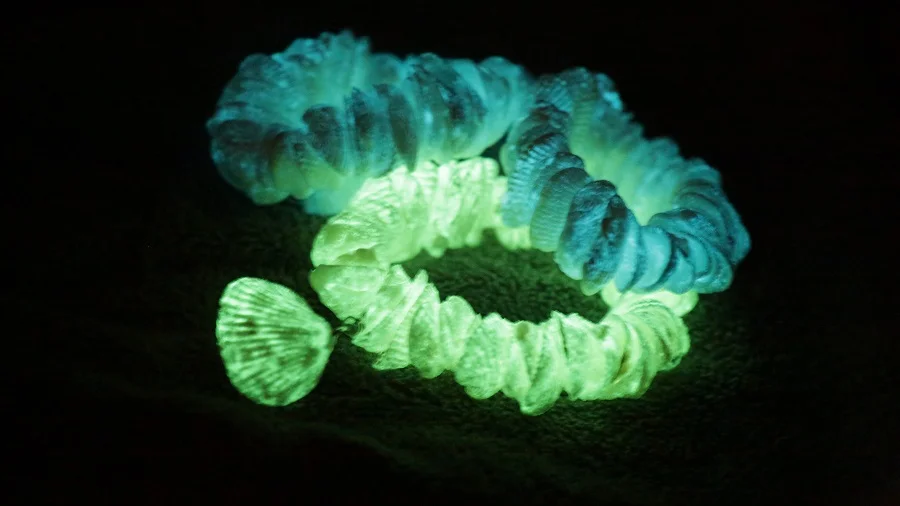 Glow in the Dark.jpg