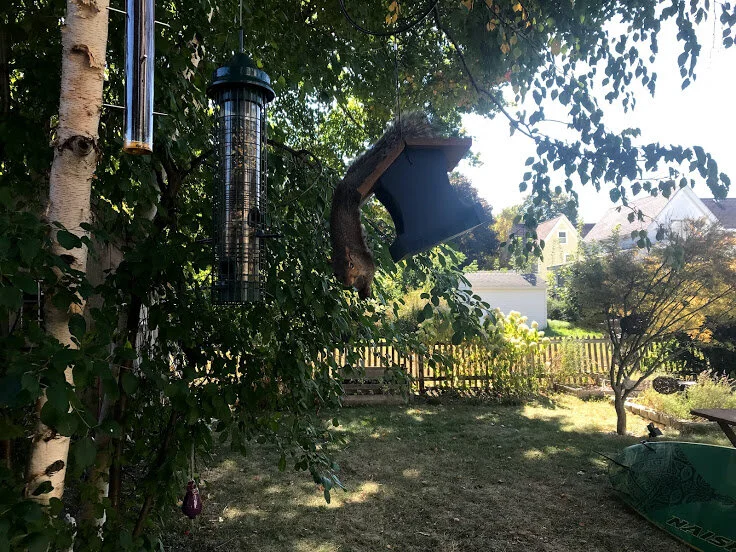 hangupsidedown.jpg