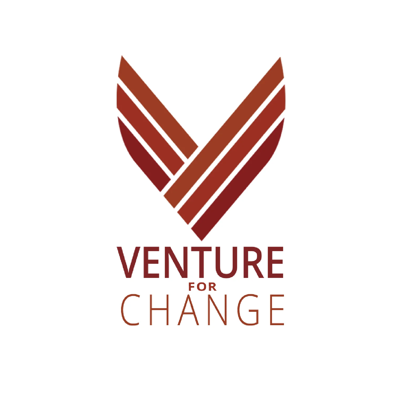venture for change.jpg