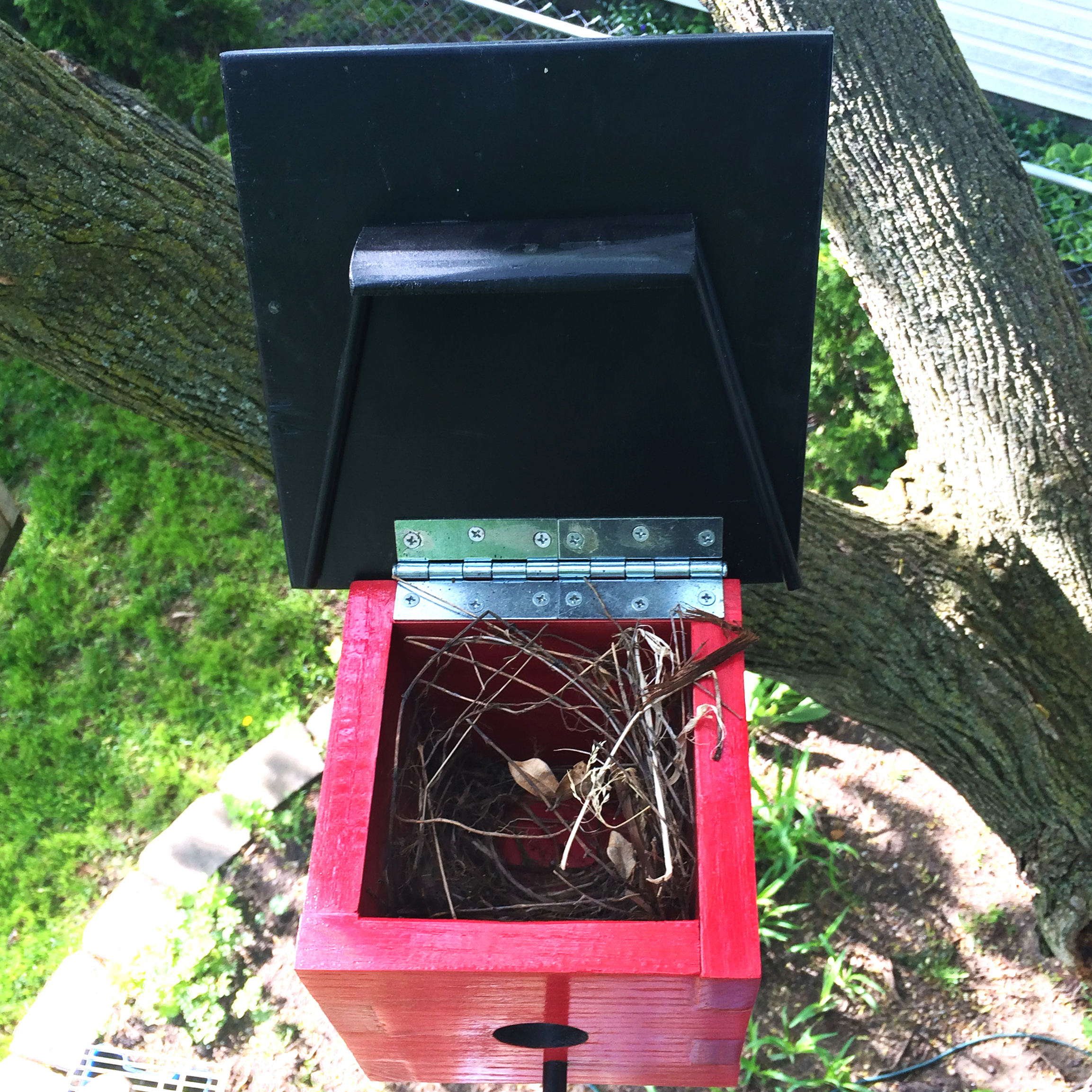 BirdHouseUnderConstruction.jpg