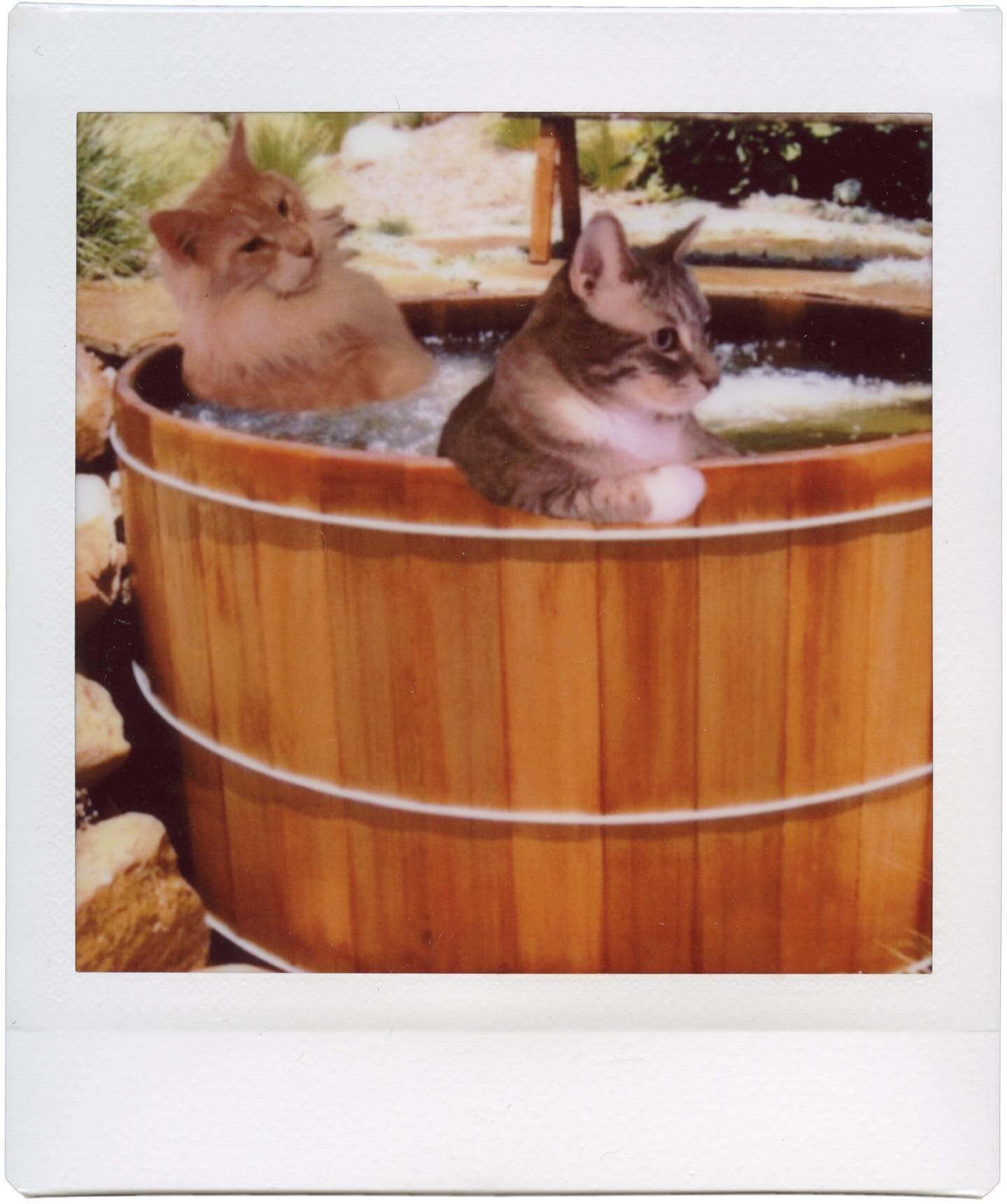#boysinthetub #theboys 

I finally got around to scanning some of my instant film. This elegant piece, titled &ldquo;Boys in the Tub,&rdquo; is a print on Instax film. Notice how the lines draw the viewers eye in and beg the question, &ldquo;why the 