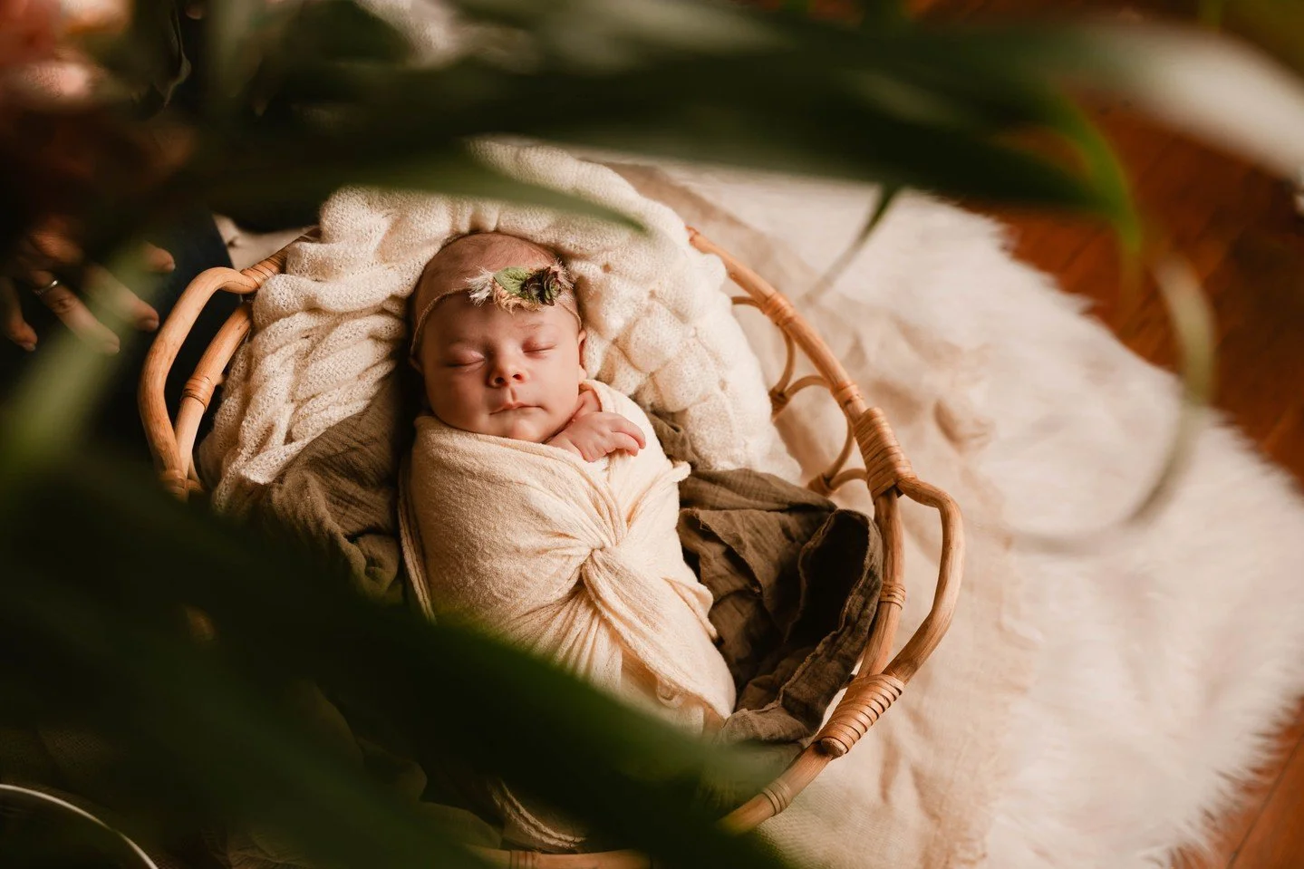 Expecting this summer?

The best time to book your newborn session is during your second trimester.

Calm.
Slow.
Intentional.

Now reserving summer due dates 🤍