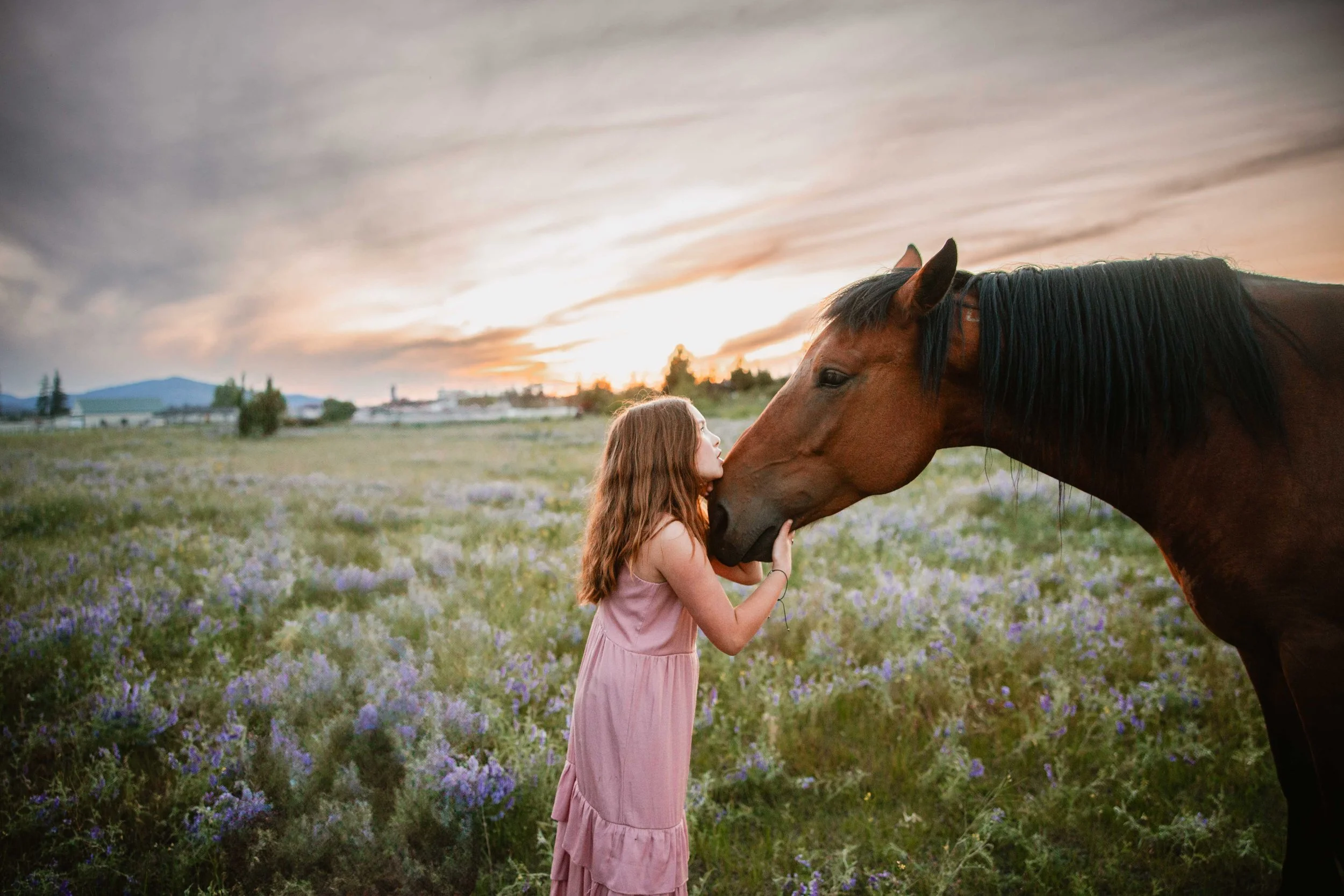 Girl with horse at sunset in field of wildflowers in Athol, Idaho