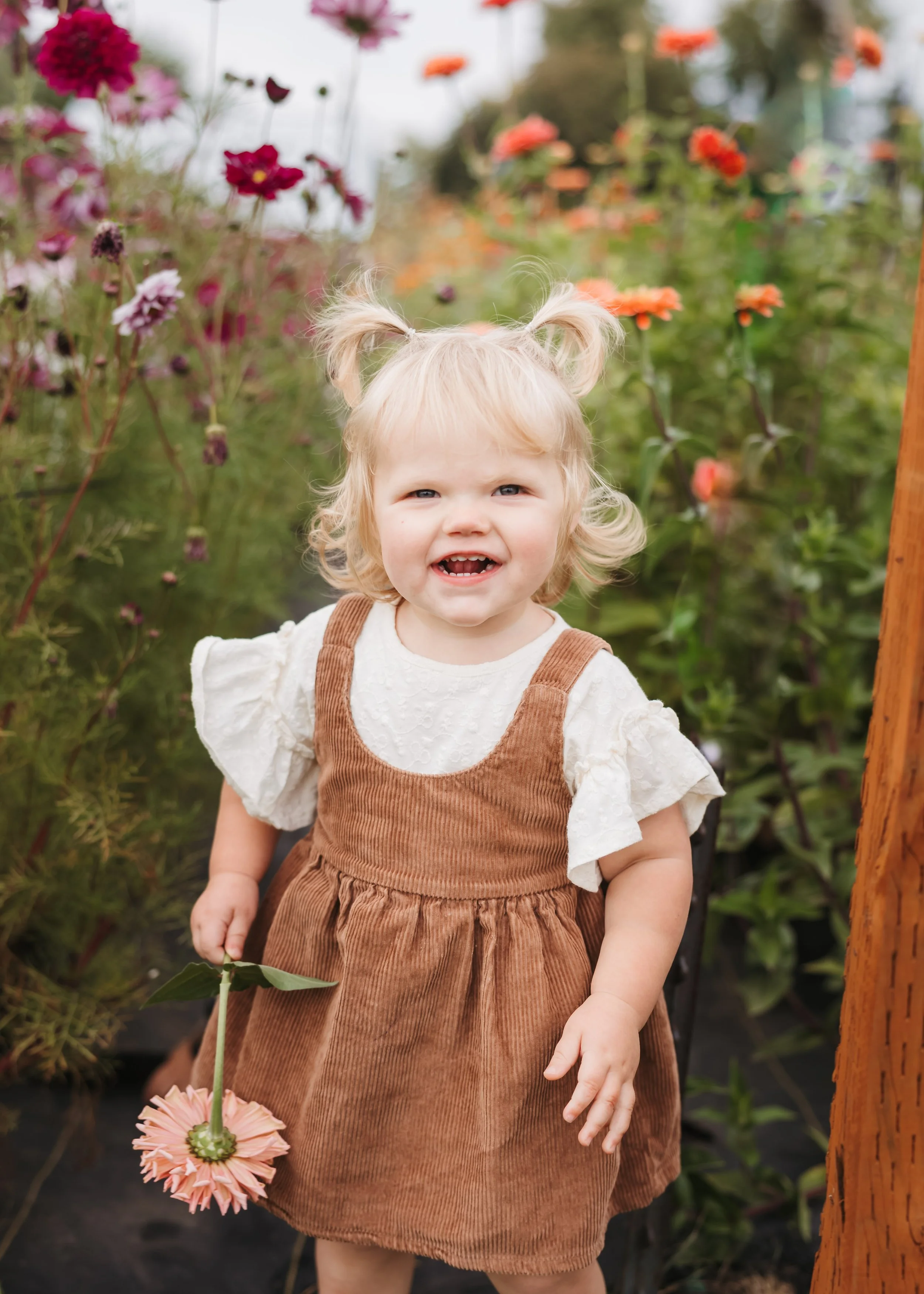 Candid family photography moment of toddler with natural expression among flowers