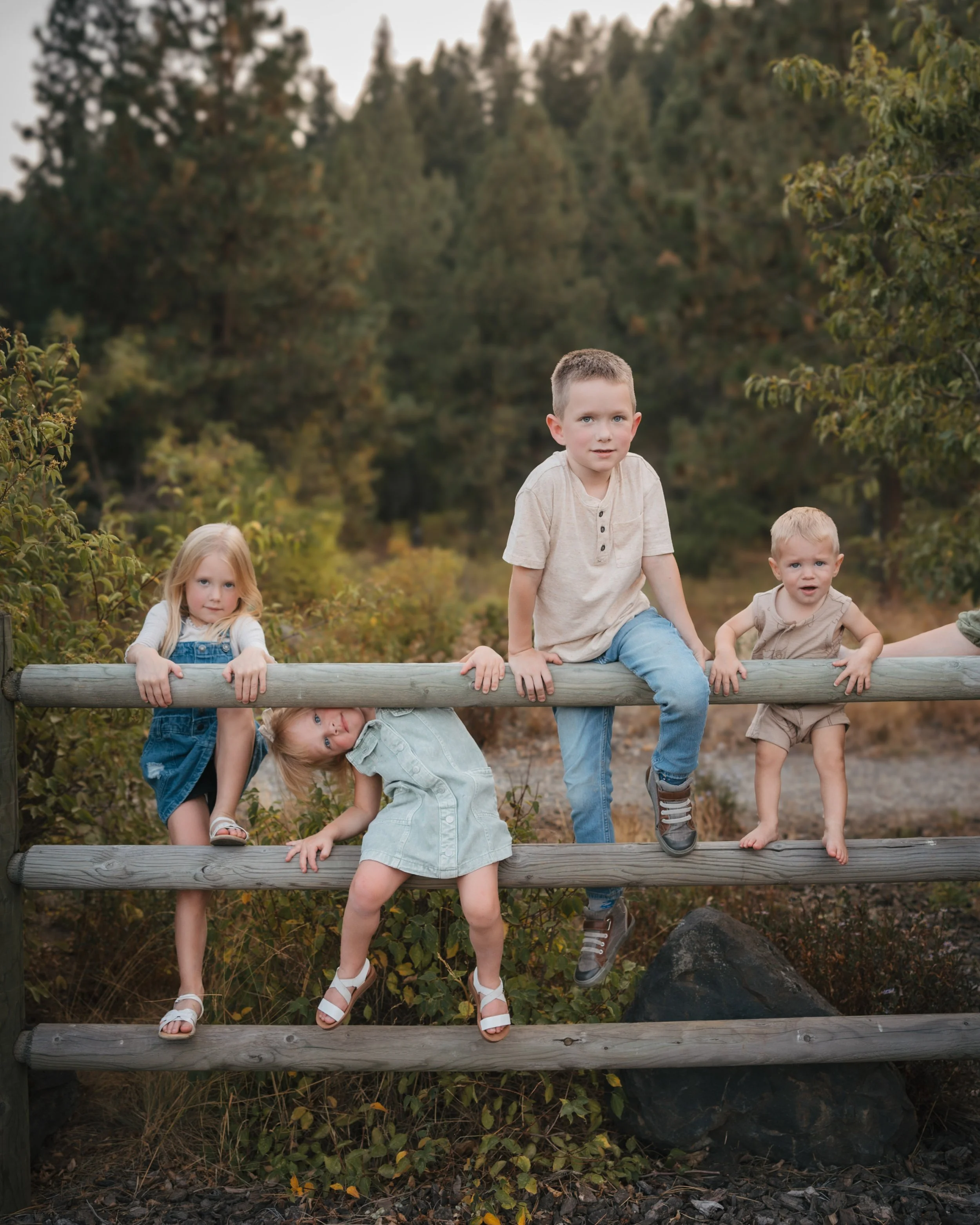 kids on a fence summer session coeur d alene idaho