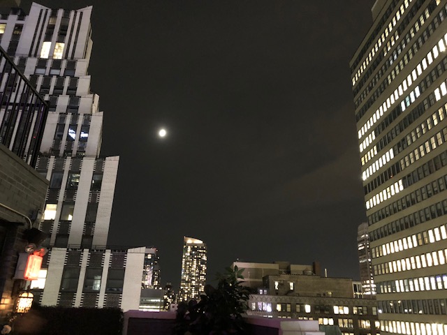 The view from Elsie Rooftop at the Unearth Women launch event