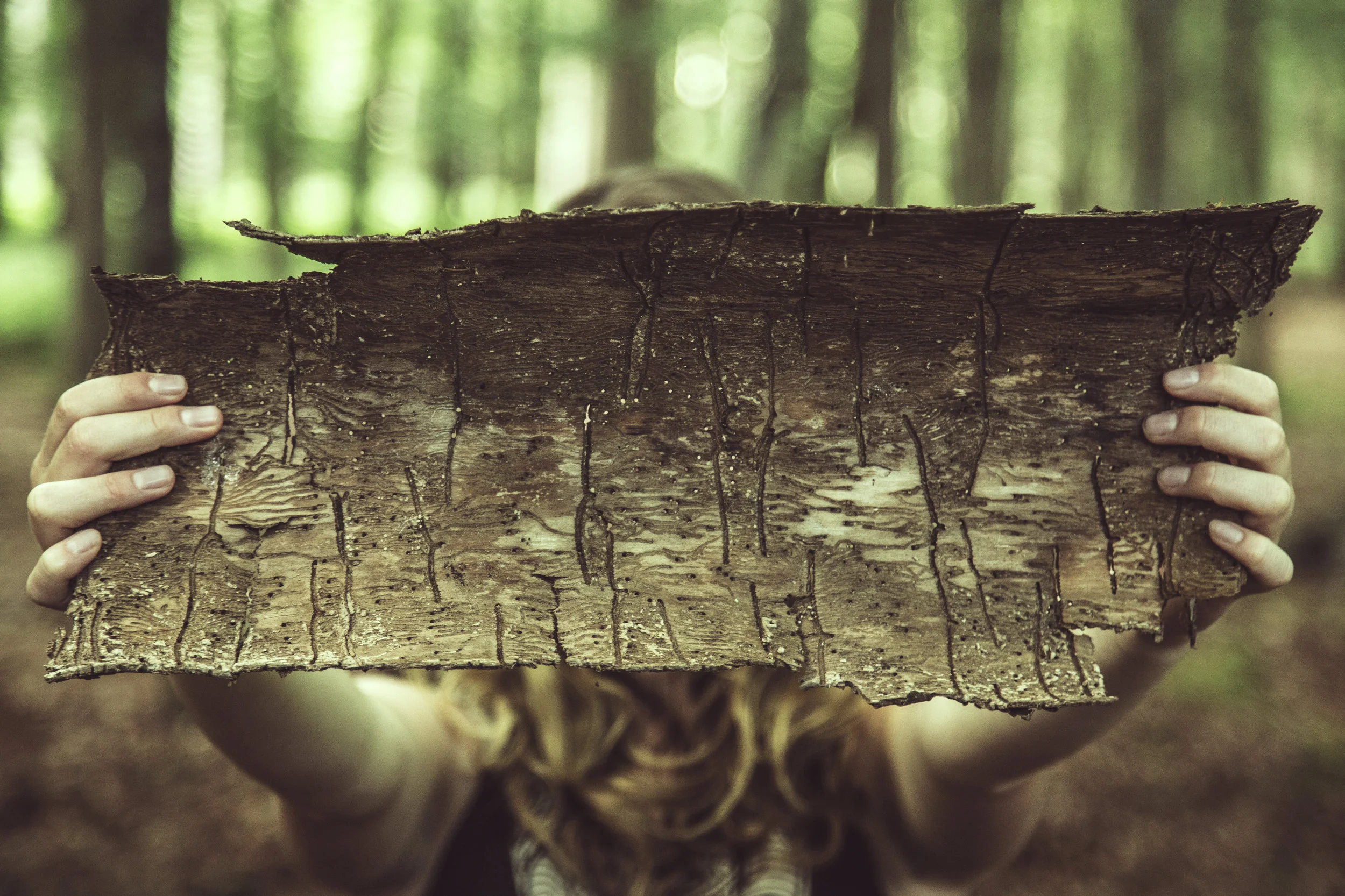Creative Fuel: 5 things that inspire my writing