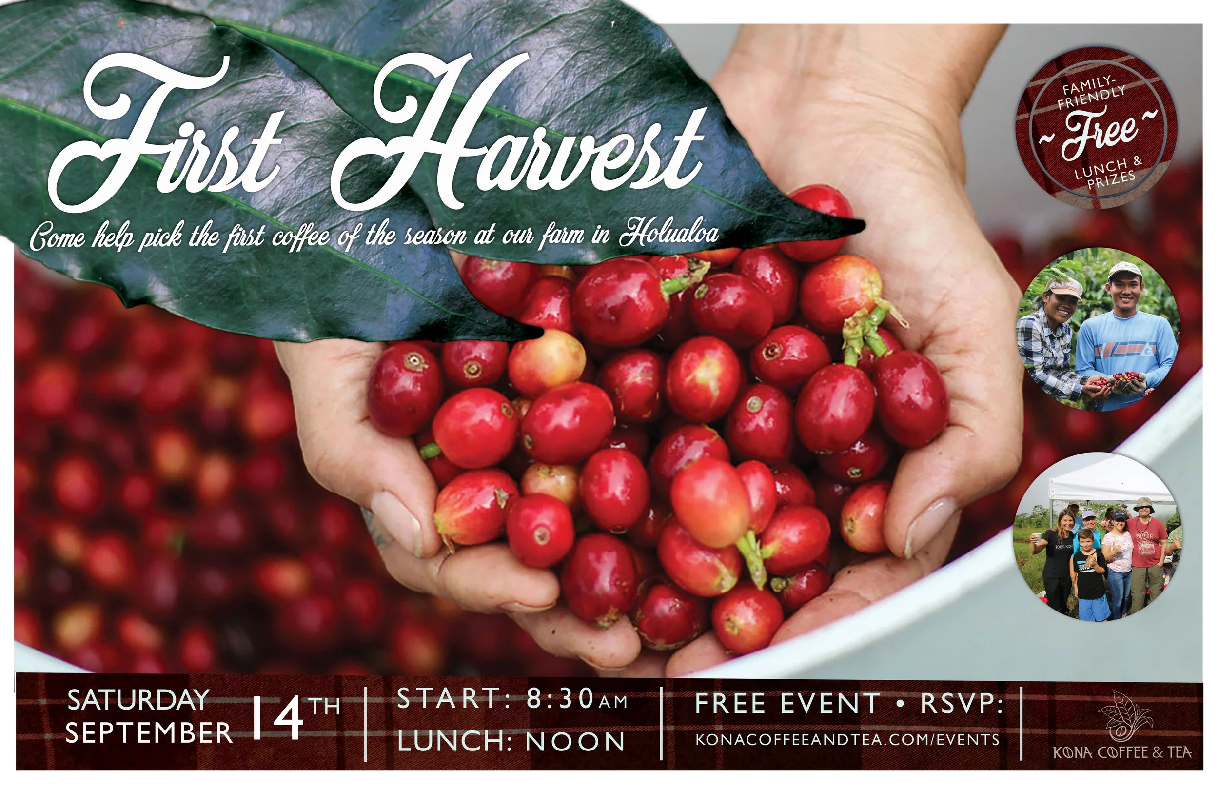 Web Poster_FIRST HARVEST 2019 11x17_KCTC_PRINT.jpg