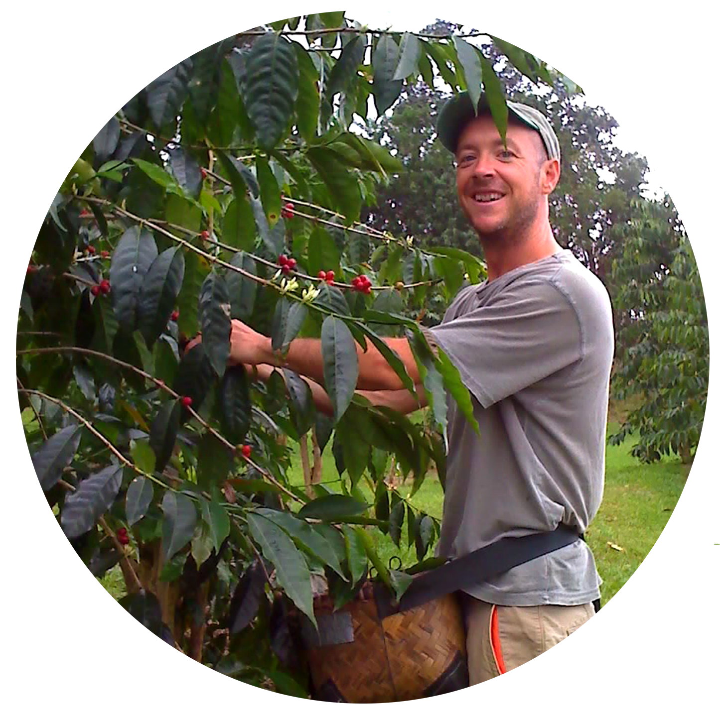 Mike KCTC Circle_picking coffee.png