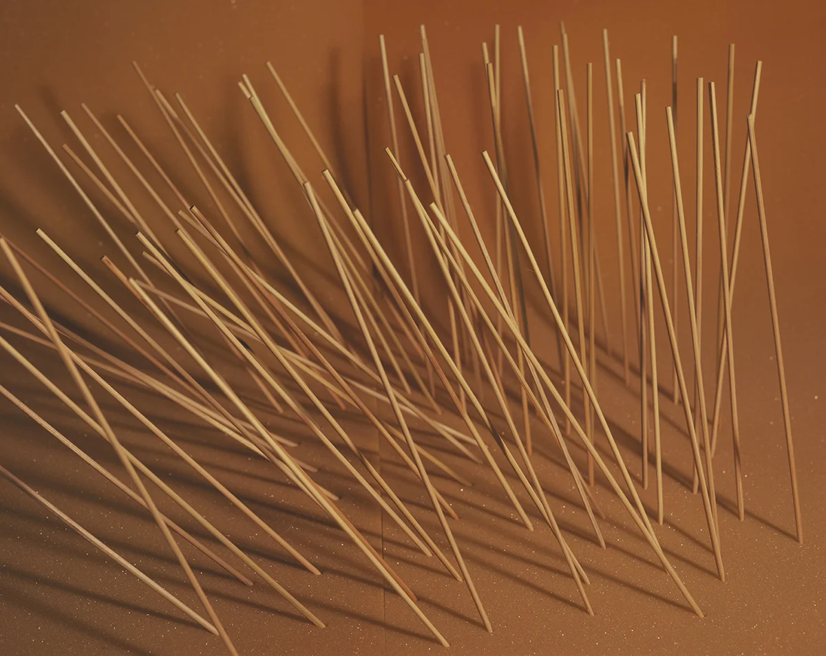 Foam and Sticks, C-Print, 32 x 40 inches, 2015