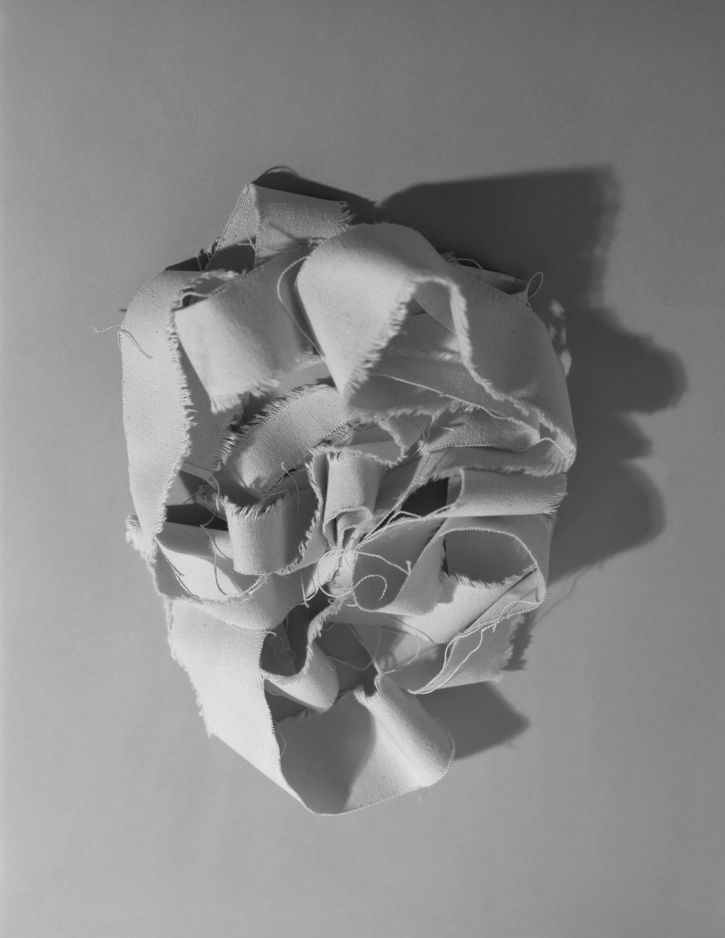 V (The Head), C-Print, 17 x 22 inches, 2011