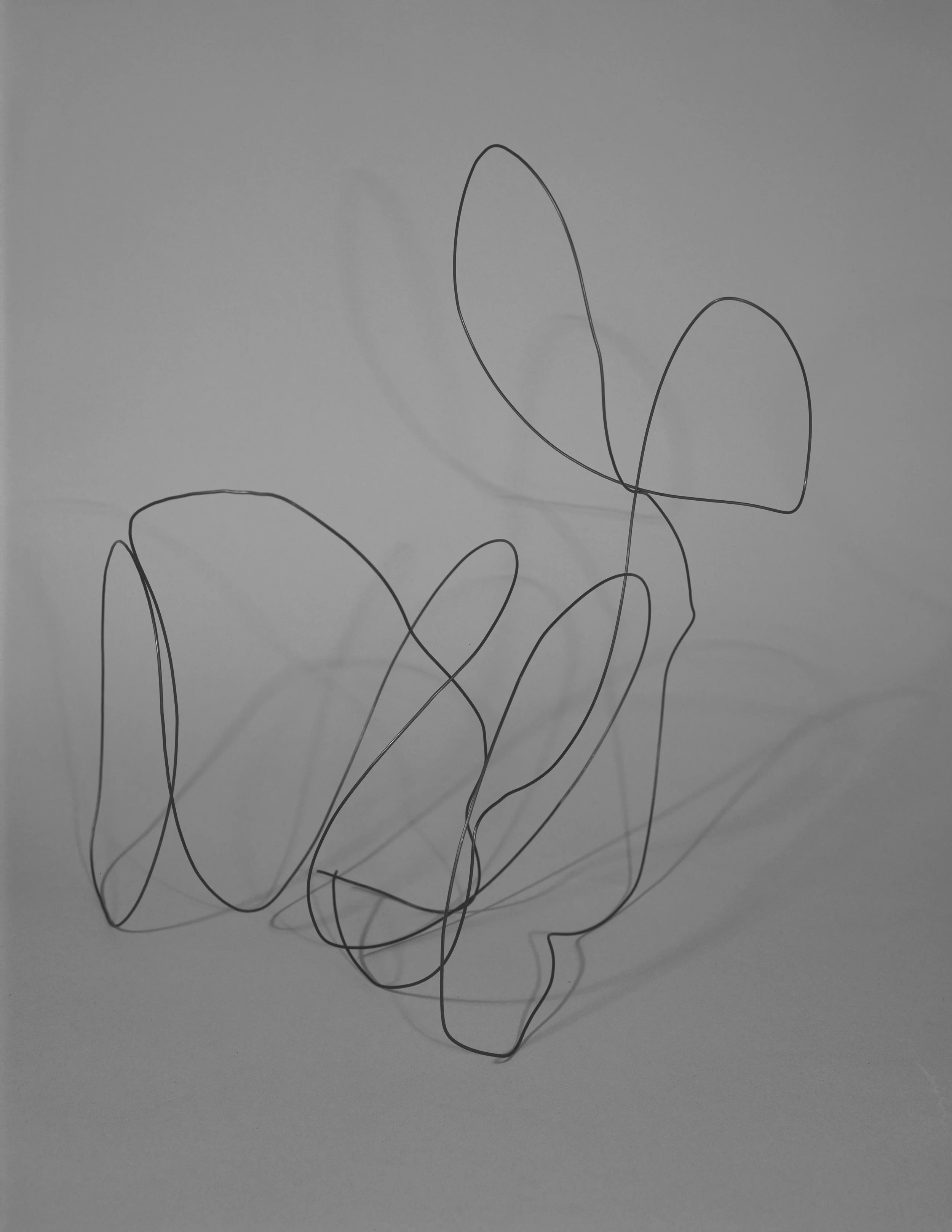 IV (Wire Shape), C-Print, 17 x 22 inches, 2011