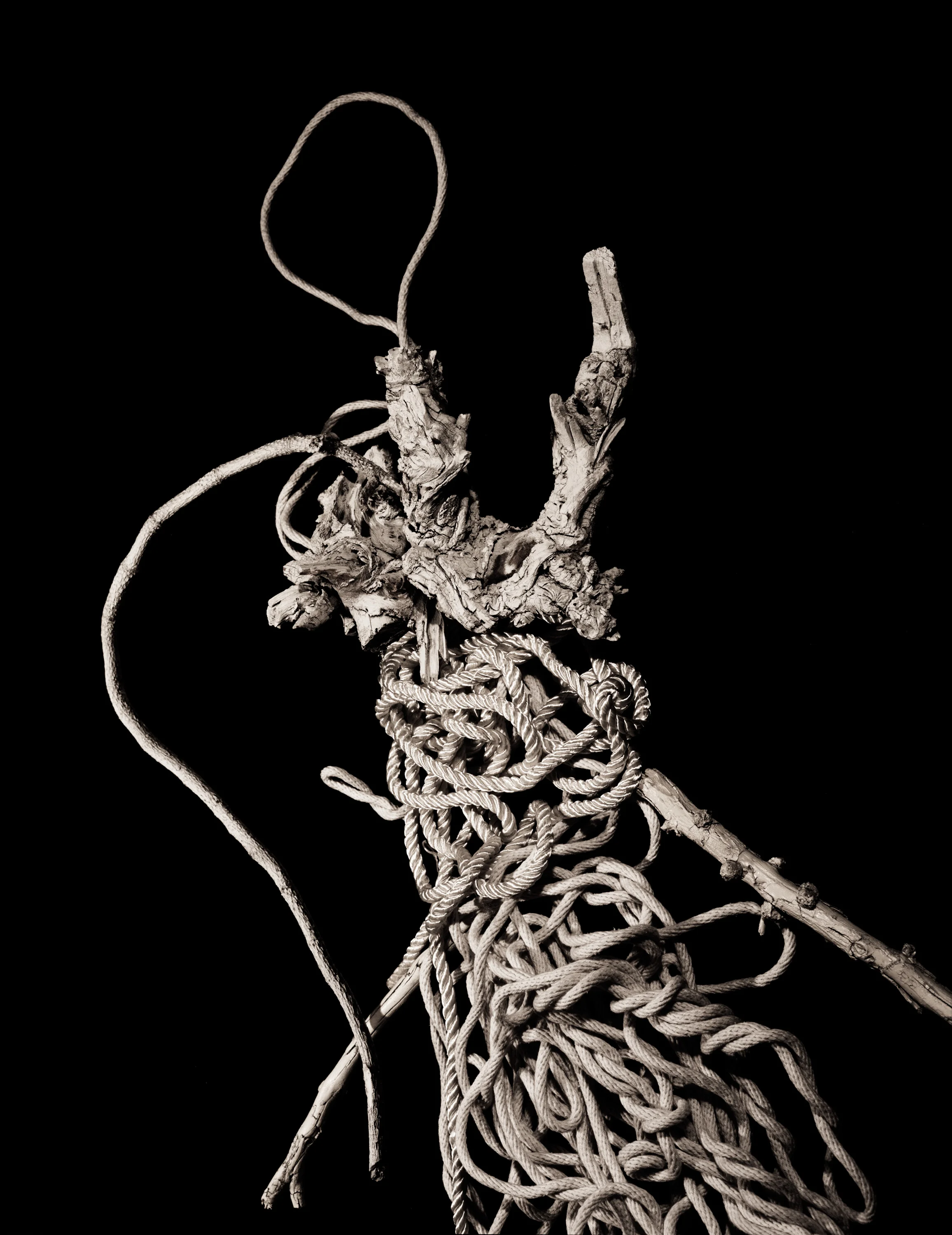 The Angel , 41 x 31 3/4 inches, Pigment print, 2018