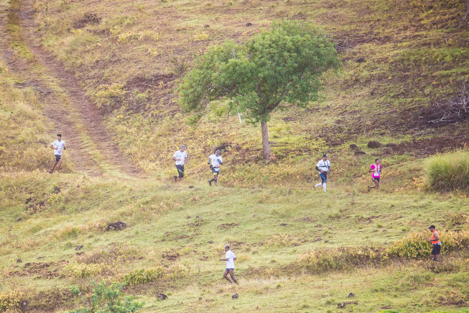 Royal Raid 2017-6.jpg