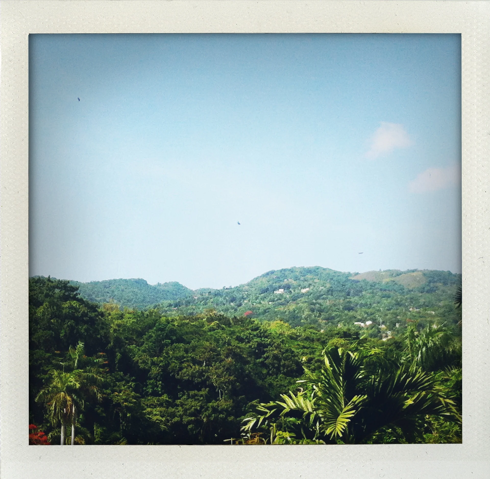 Untitled (Landscape)