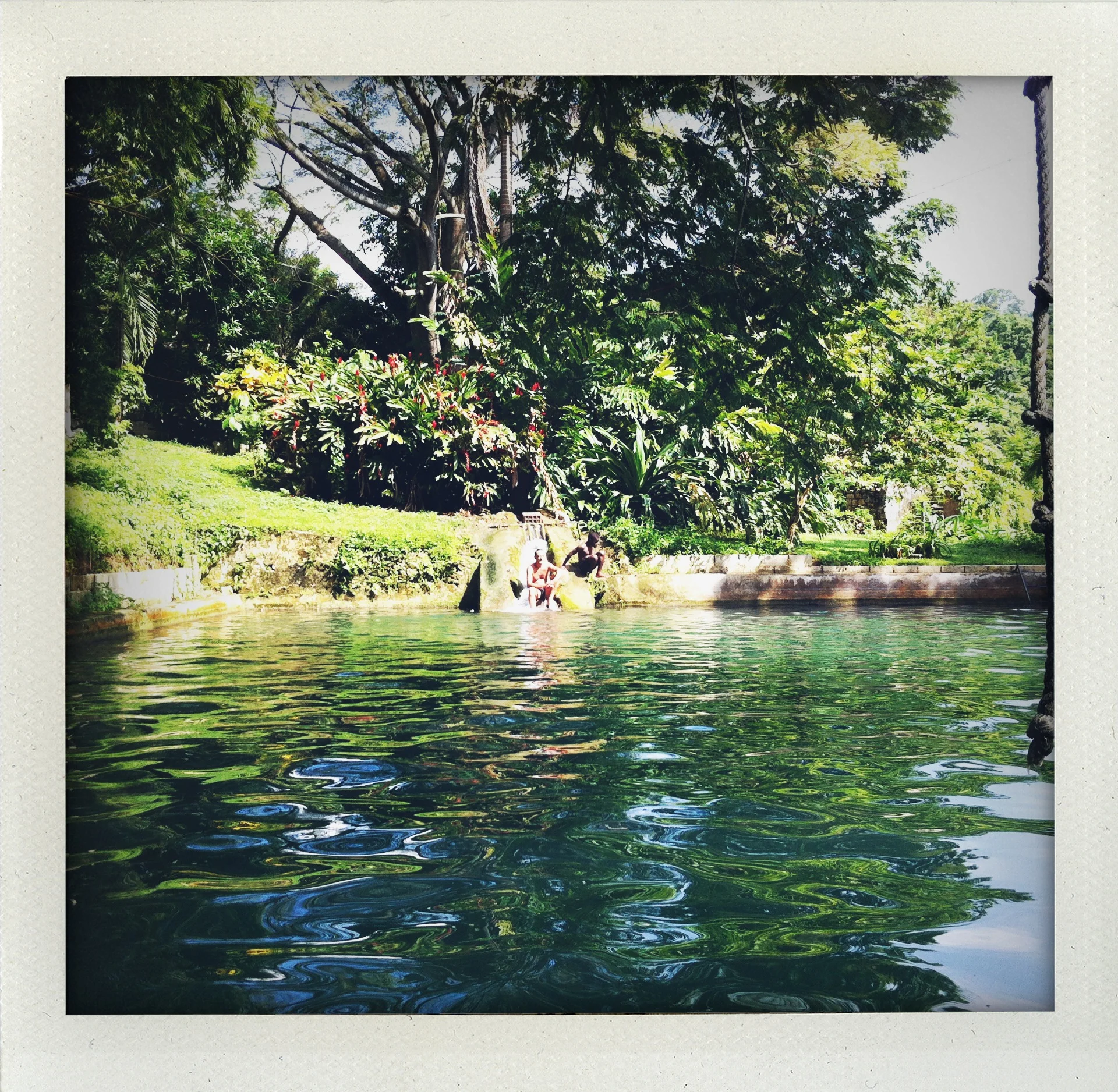 A Century of Swimming
