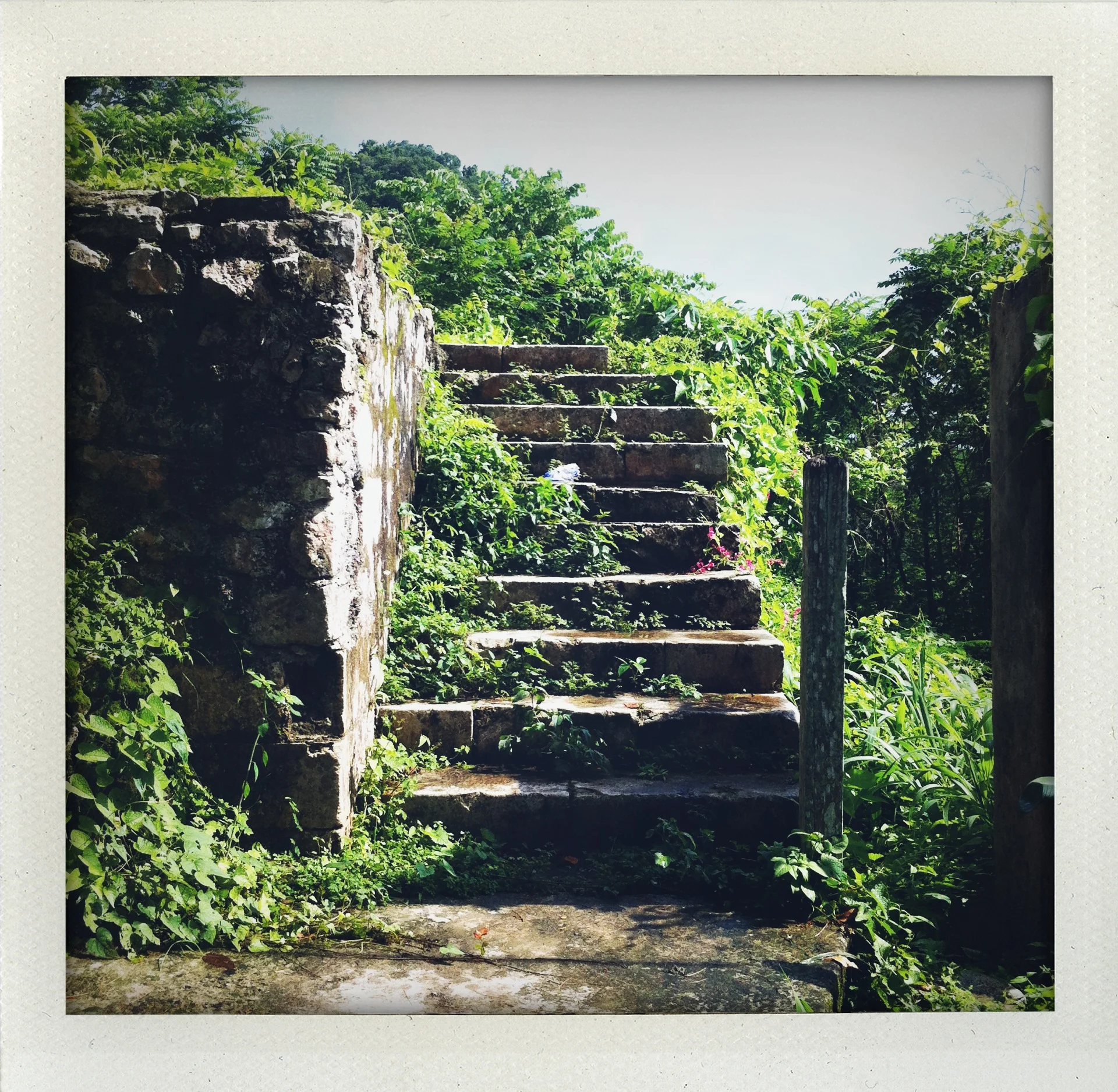 In Ruins