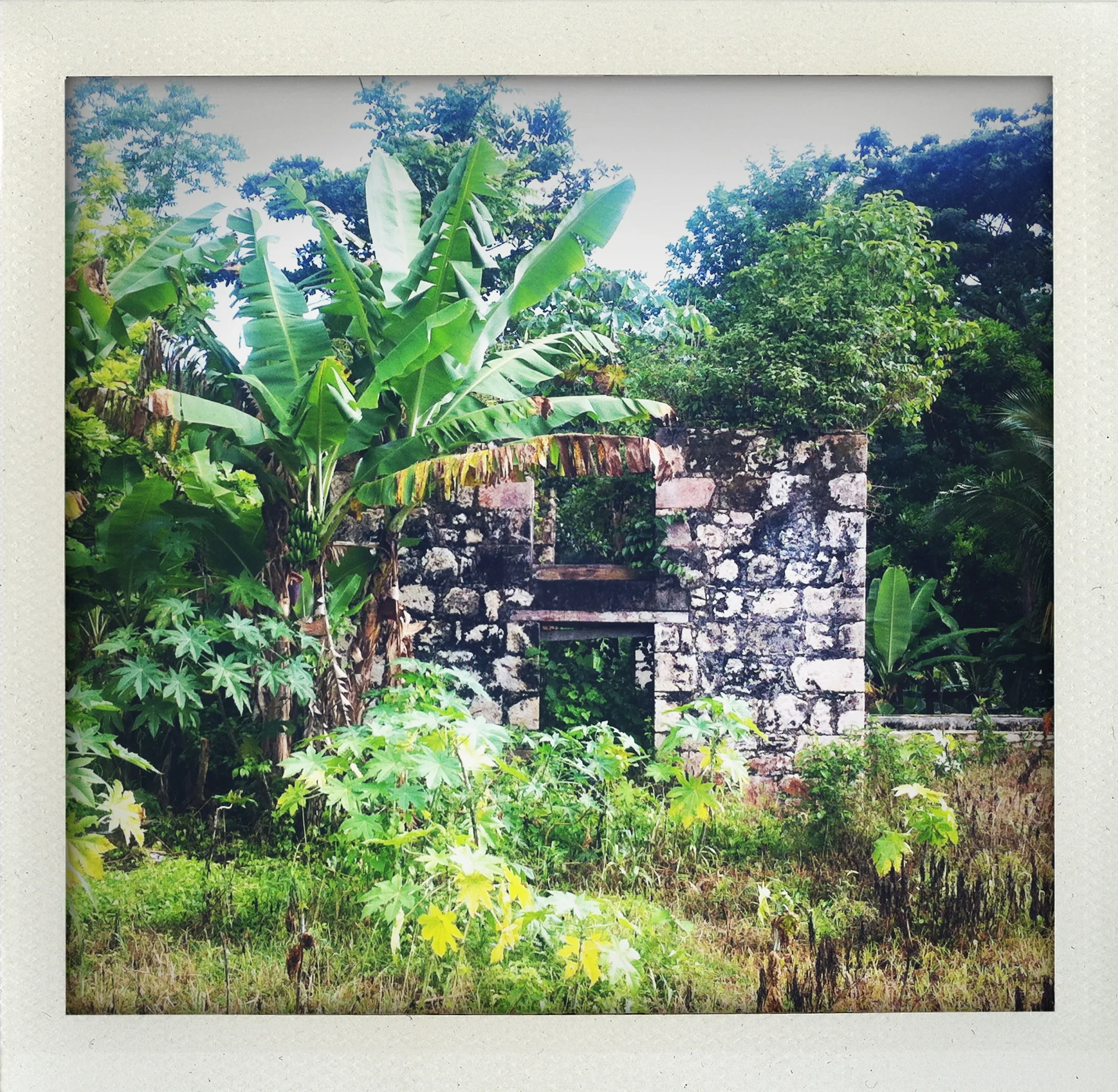 Reclamation