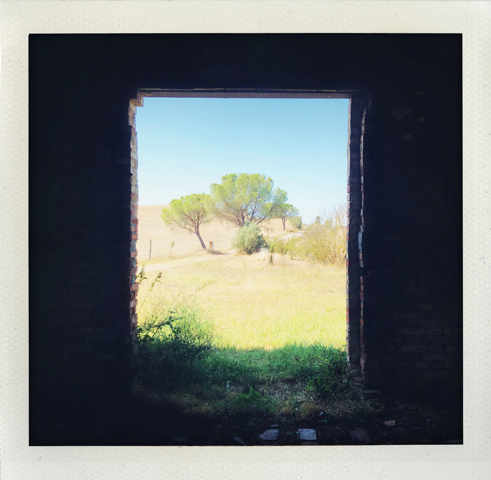 Pastel Landscapes (Pt.1)