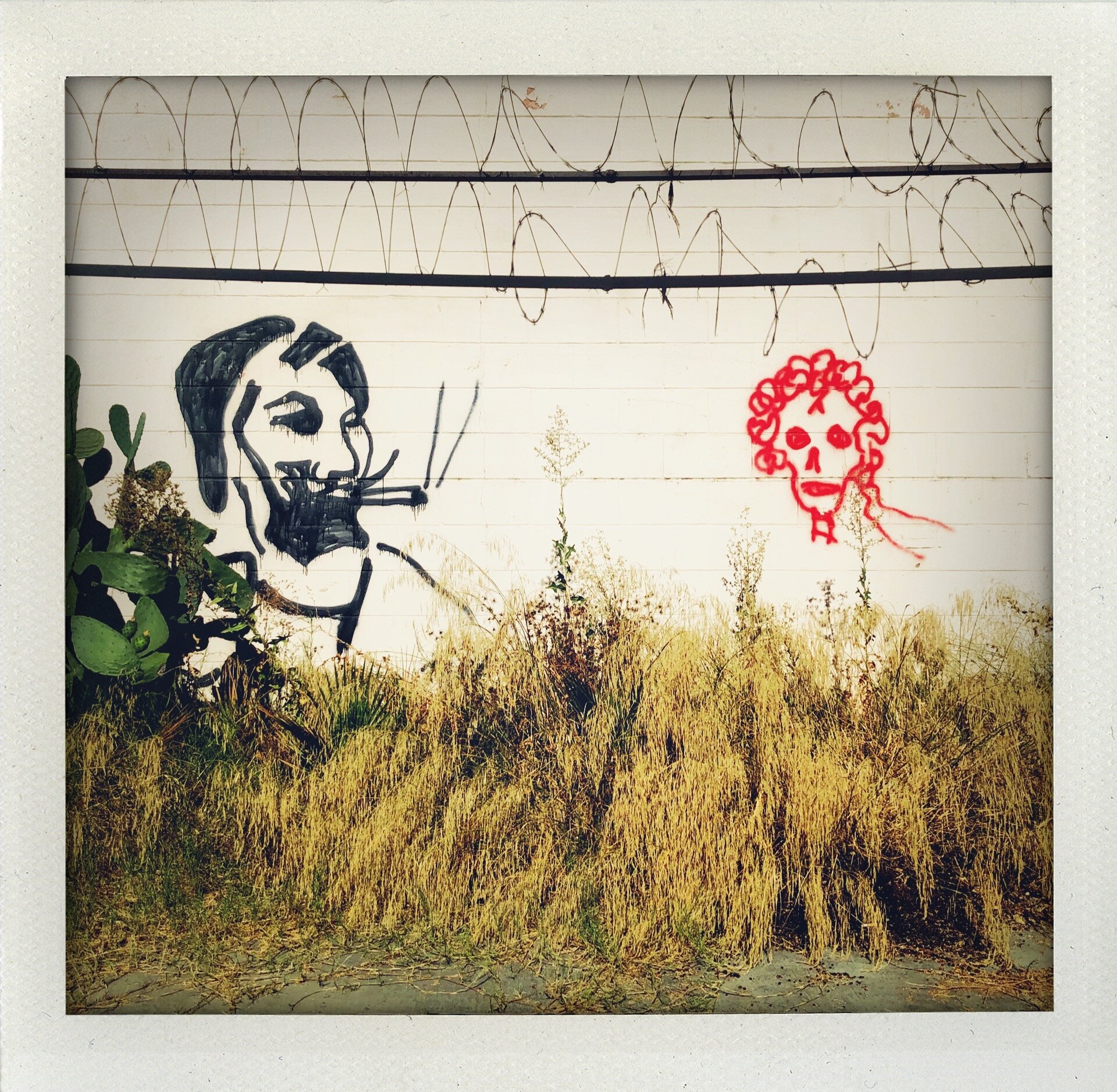 Zig-Zag Man &amp; Bertha