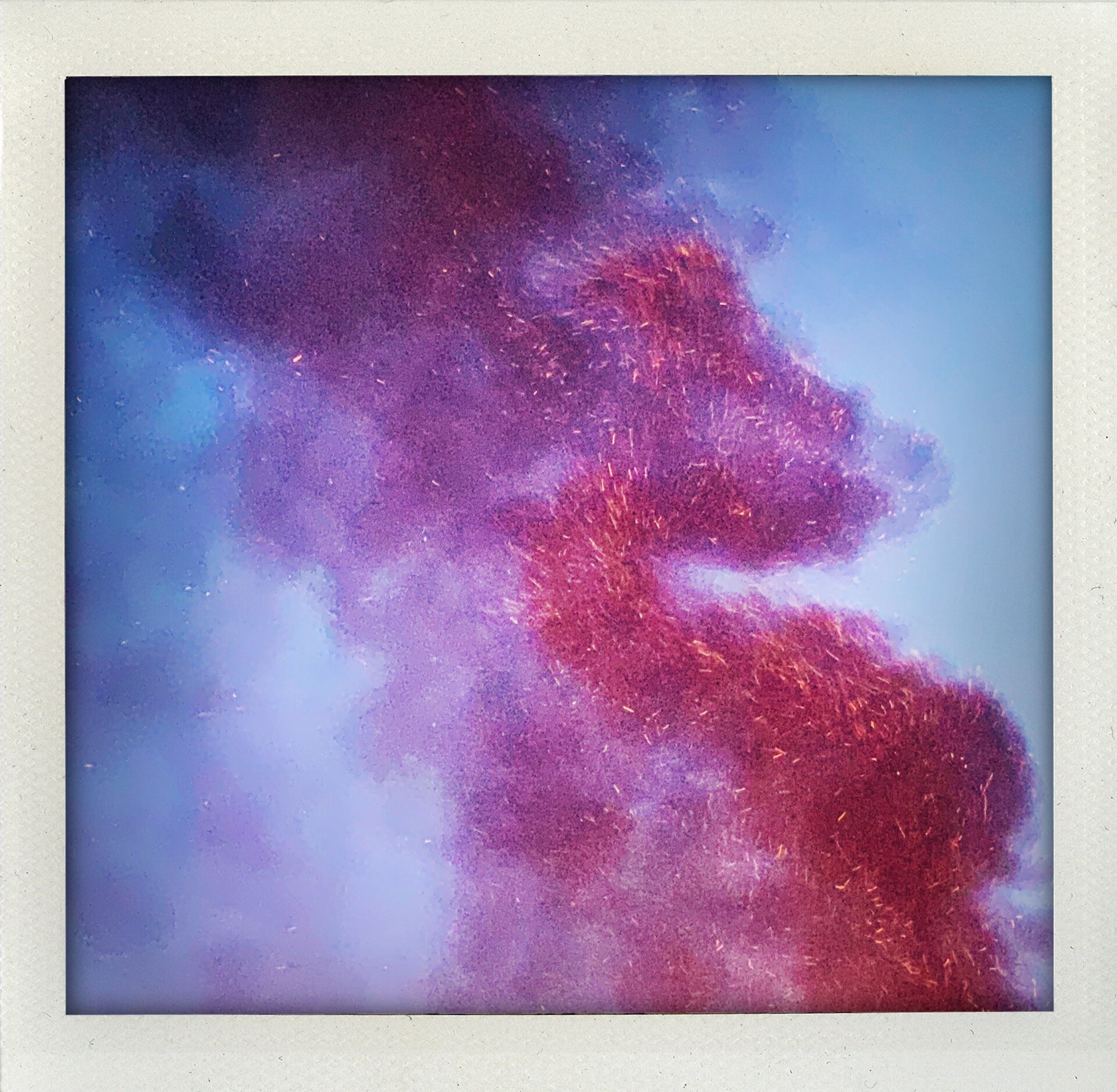 The Phoenix Greets the Morning